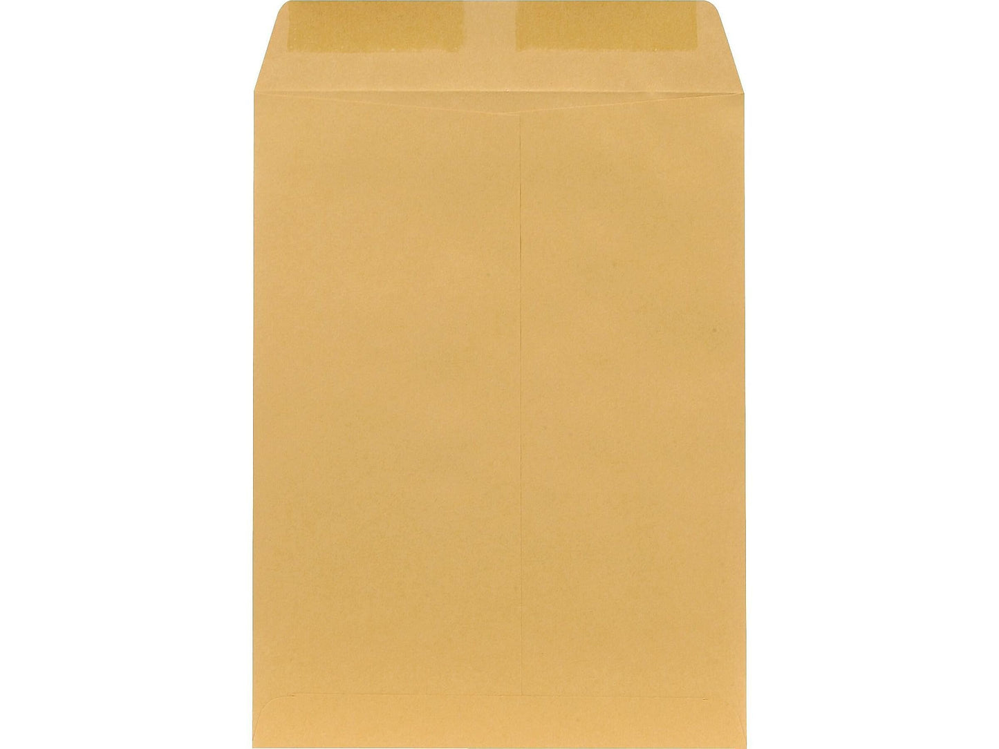 Staples 6 x 9 Gummed Kraft Catalog Envelopes, Brown, Strong Adhesive Seal, Durable Mailing Envelopes for Small Documents, 500/Box
