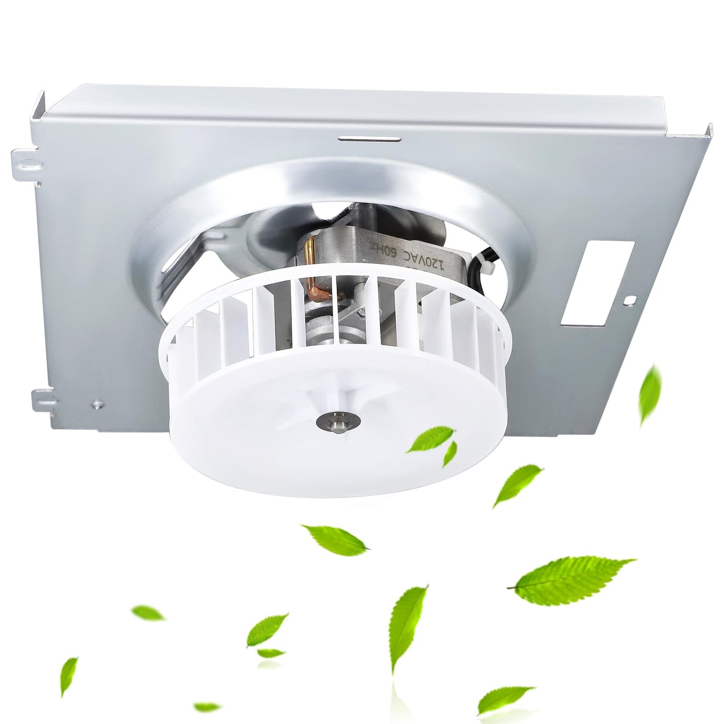 769RL B Unit, S0504B000 Motor Assembly for Broan Nutone 769RL, 763RL, 769RL-R01, 757, 769RFT-R01, VF707RCN, 765RL, 763RL-R01, VF705RCN Bathroom Exhaust Fan, Replacement Fan Motor C-87547, JESP-61K13.