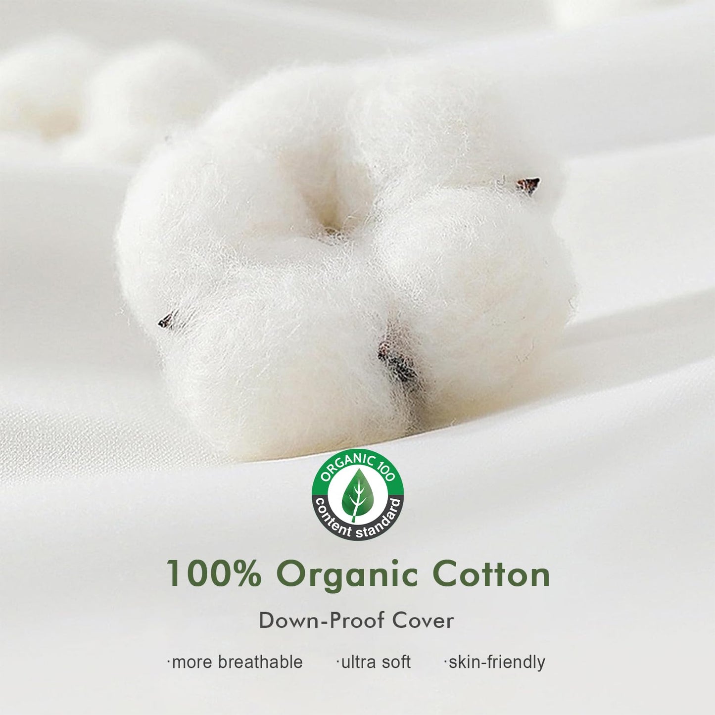 TOPGREEN Feathers Down Pillow Inserts 26x26, Set of 2, Euro Pillow Insert with 100% Organic Cotton Shell, Soft Decorative Throw Pillow for Living Room, Sofa, Couch, or Bed (White)