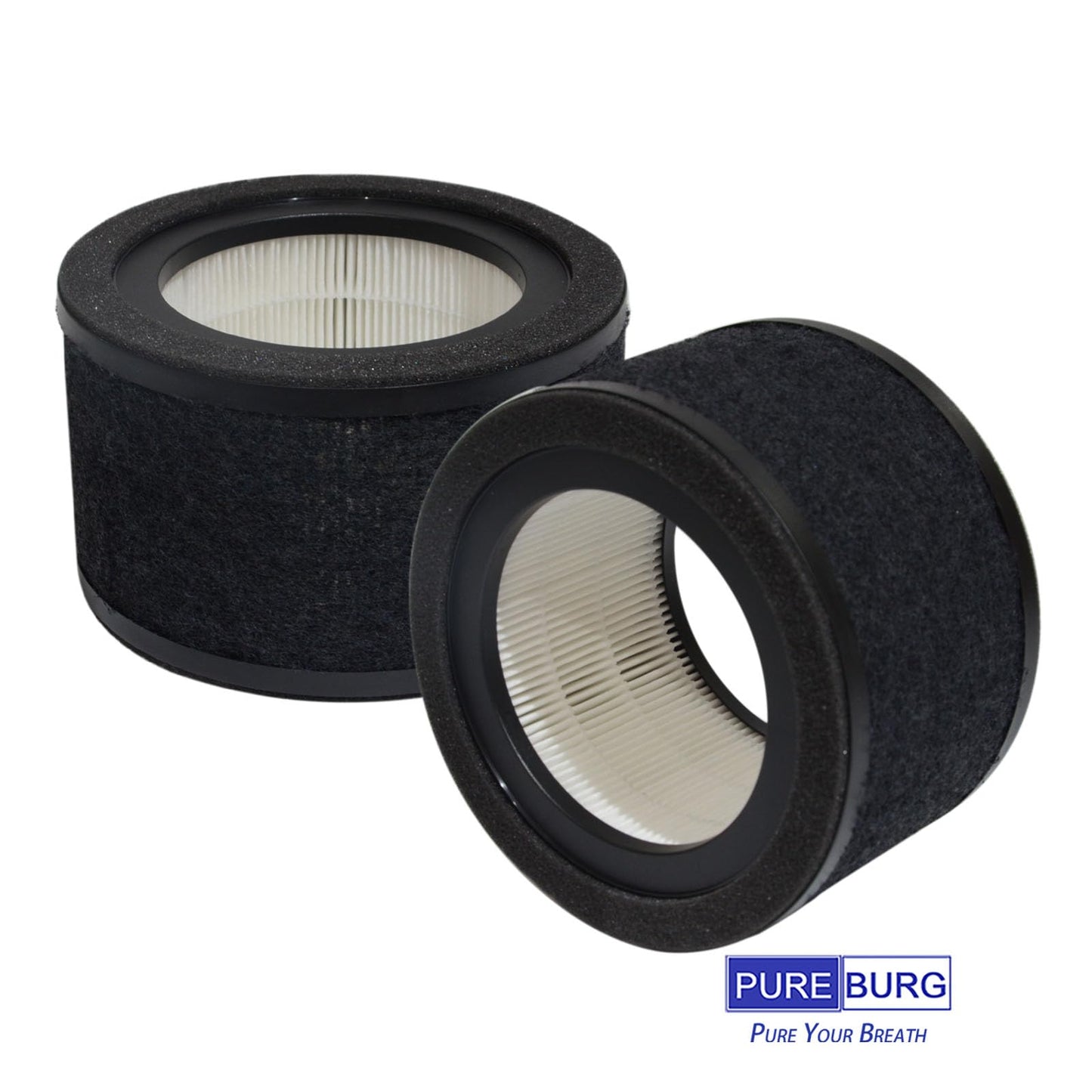 PUREBURG Replacement Filter Compatible with GermGuardian AC4200W AC4250B Air Purifier Parts FLT4200, Filter L, H13 True HEPA and Activated Carbon Pre-Filter, Pack of 2