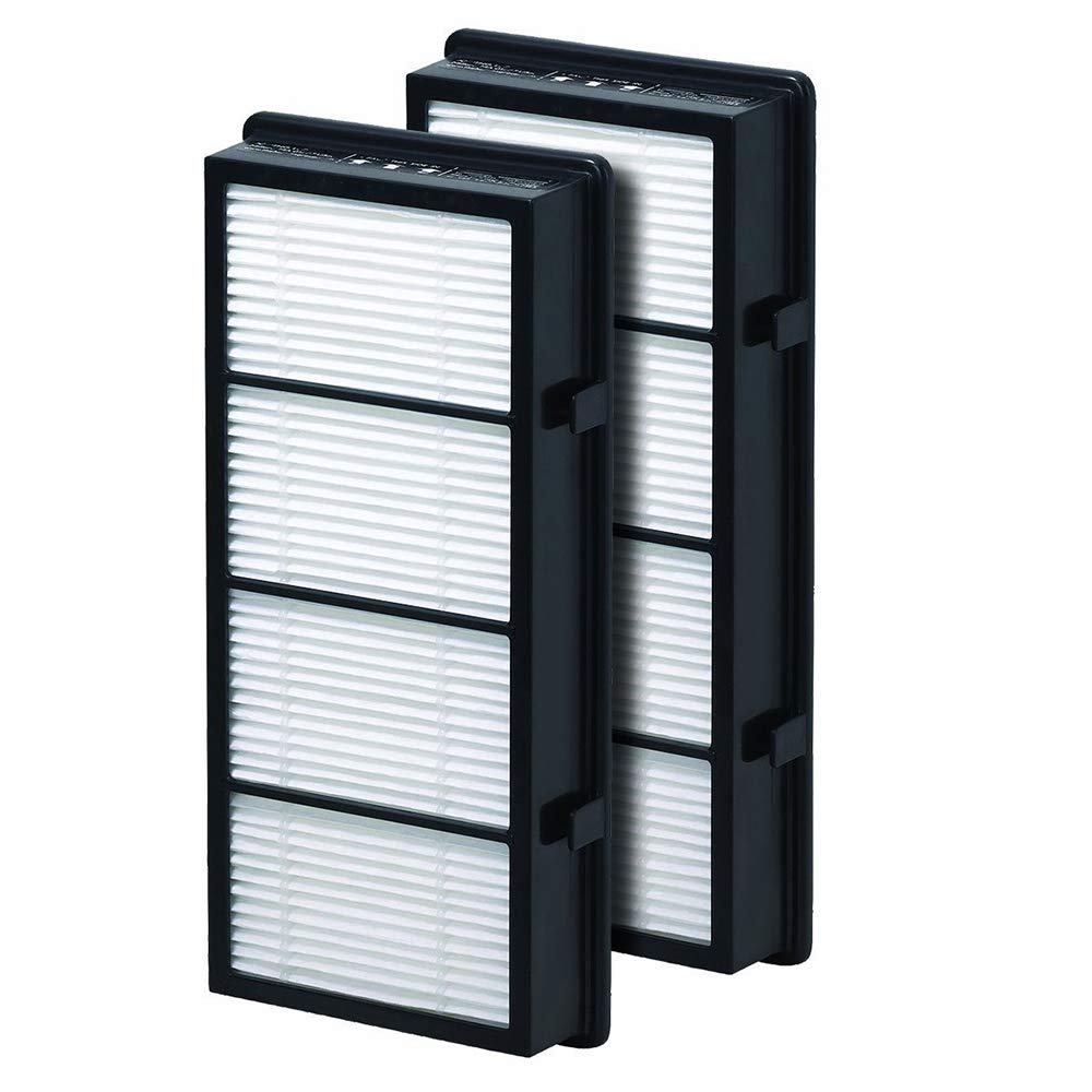 Filter-Monster Replacement Compatible with Holmes AER1 HAPF300/HAPF30 (D Filter) and Bionaire BAP536/BAP516, 2 Pack