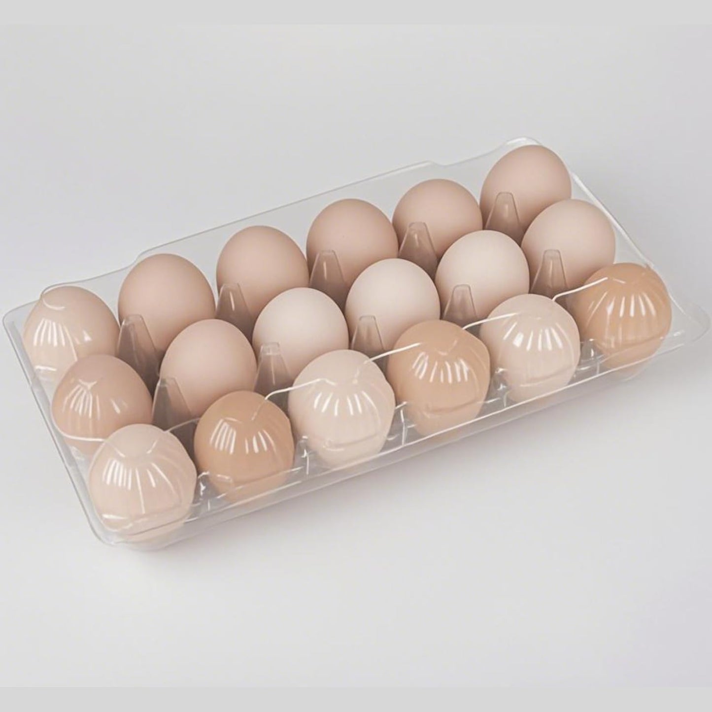 FUailiYY 60 pc Plastic Bulk EggCarton,18 cone egg carton cheap bulk, Suitable For Storing Egg in Farmers' Markets, Supermarkets, Kitchens(3 * 6)