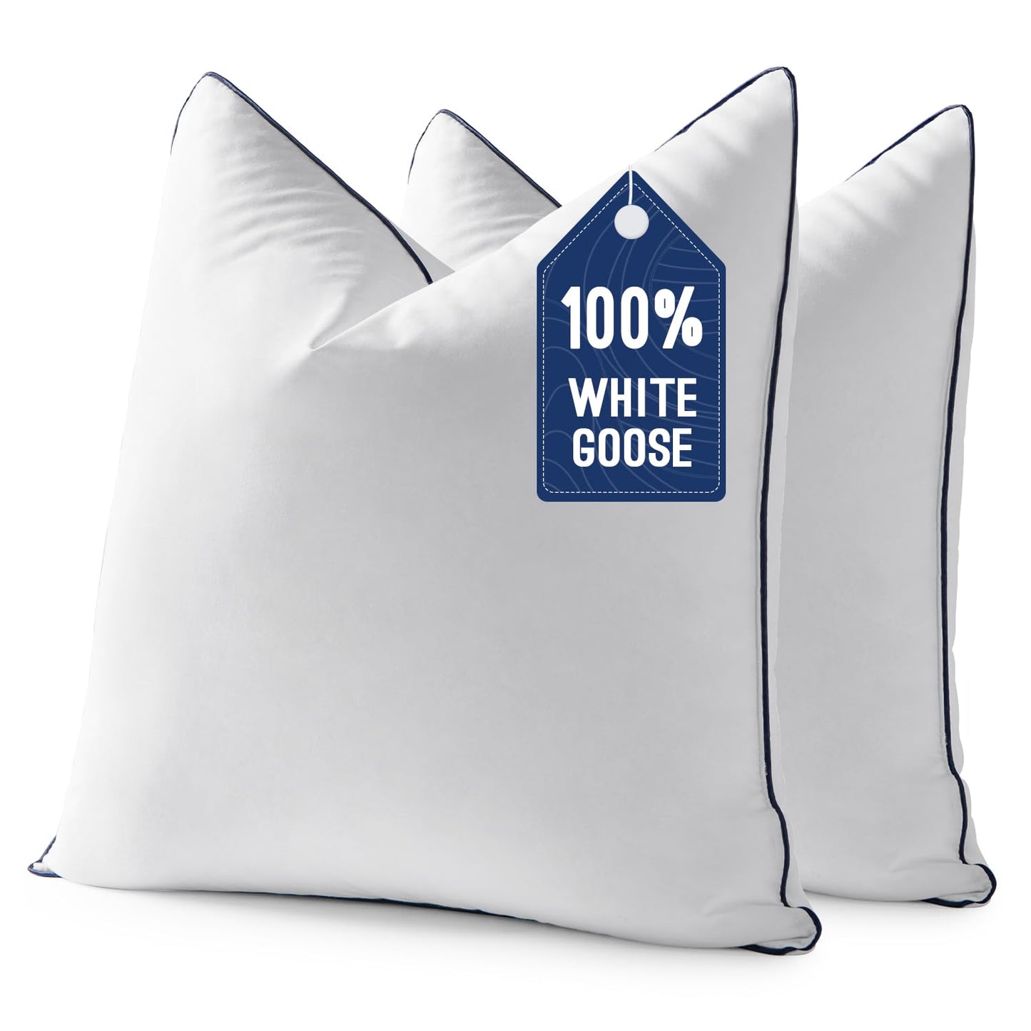 MIULEE Goose Feather Down 22x22 Pillow Insert Set of 2 with 100% Down-Proof Cotton Cover, Soft Fluffy Decorative Pillow for Sofa Bed Couch Living Room White