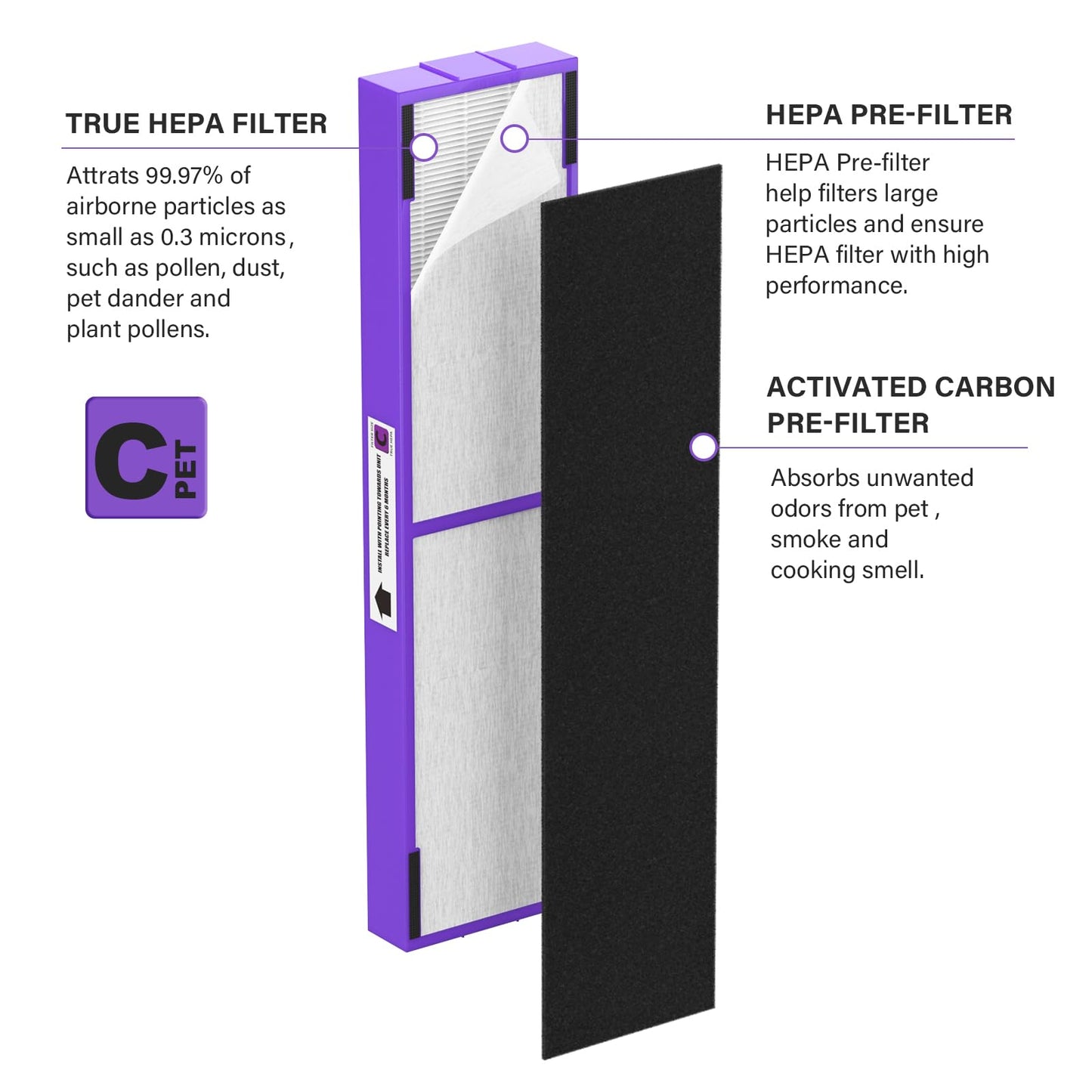 FLT5250PT True HEPA Replacement Filter Compatible with G-guardian Air Purifier Filter C Pet AC5250PT AC5000E AC5300B AC5350W AC5350B CDAP5500, 2 True HEPA with 6 Carbon Pre-Filter