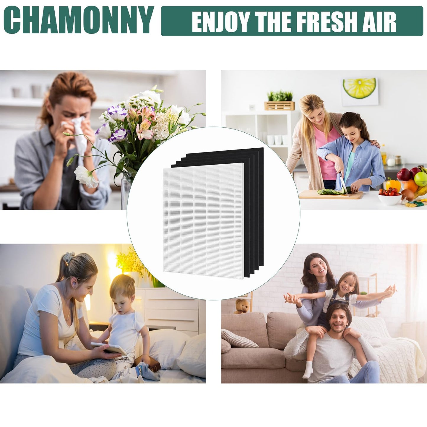 CHAMONNY D480 True HEPA Replacement Filter D4, Compatible with WIN-IX D480 Air Purifier, Compare to WIN-IX D4 Filter, Item Number 1712-0100-00, 2 H13 True HEPA Filters + 8 Activated Carbon Pre-Filters