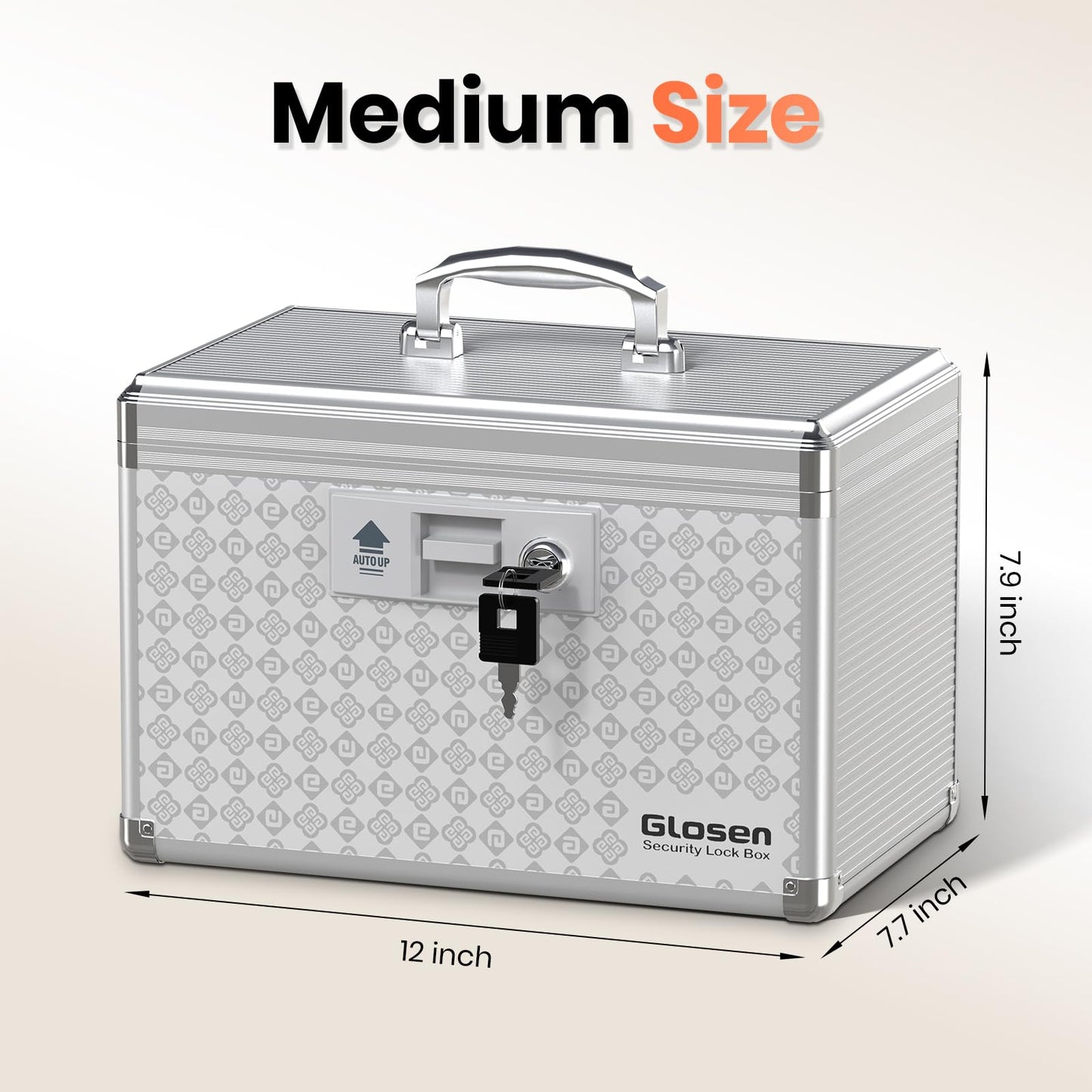 Glosen Medicine Lock Box Storage Lock Box Grey 12 X 7.68 X 7.87 Inch 【Medium】 Lockable Dorm Storage Trunk with Key Lock - Briefcase, Lock Boxes for Personal Items
