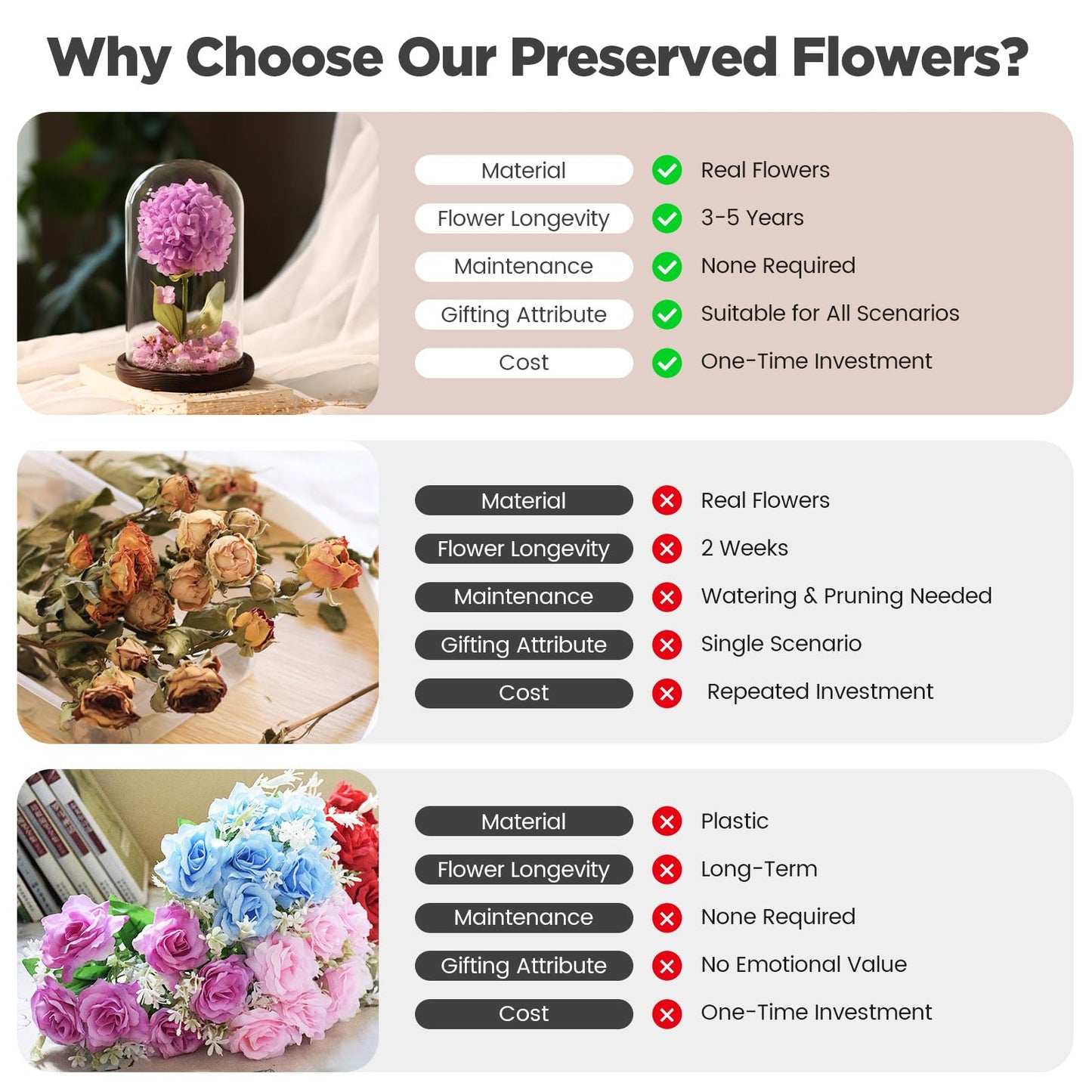 AIMEYE Forever Hydrangeas in Glass Dome,Forever Preserved Flowers Gifts Mothers Day Birthday for Grandma Women Mom Wife,Fresh Flowers for Delivery/Purple Hydrangea