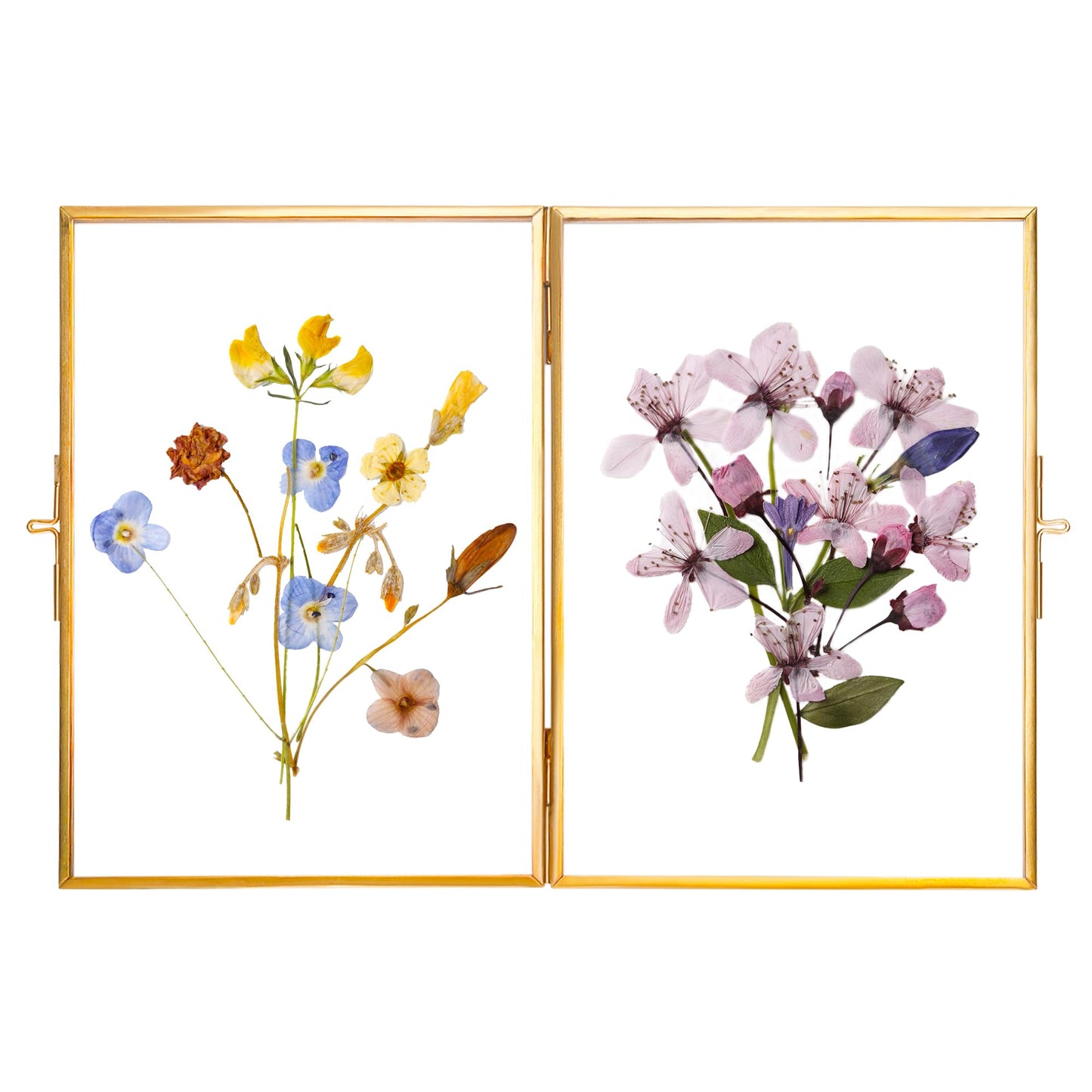 REDHUGO Glass Pressed Flower Frame Handmade, Hinged Double Press Flower Frame, Tabletop Brass Photo Frames, Rectangle Dried Flowers Display Folding Frames for Home, Gold,5×7 Inches
