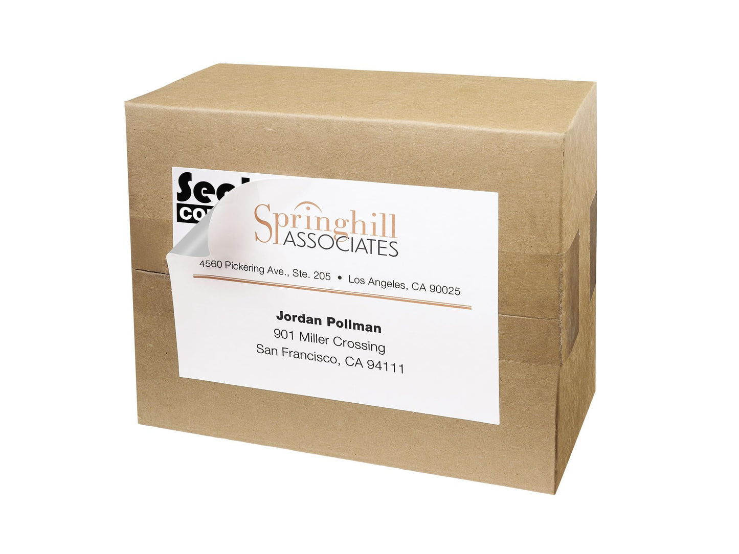 Avery Shipping Labels with TrueBlock Technology, 4" x 6", White, Permanent, 6 Packs for 120 Labels Total (45292)