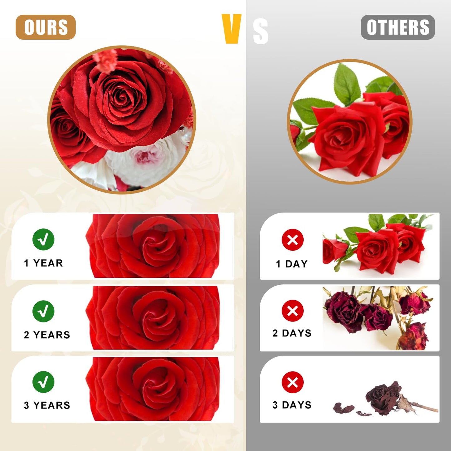 Chicvault Gifts for Mom, Preserved Flowers in Glass Dome, Forever Flowers for Delivery Prime, Eternal Rose, Birthday Gifts for Women, Anniversary Birthday for Grandma,Mothers,Wife,Daughter(Red)