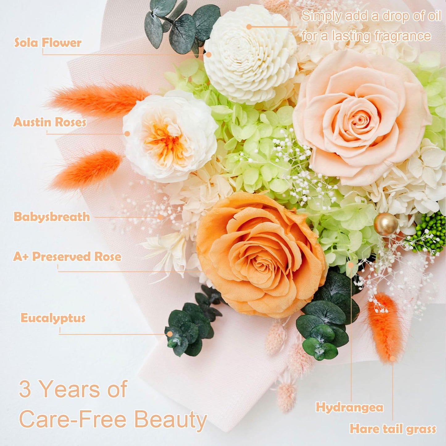 ZMRU Preserved Flower Bouquet, Fresh Flowers for Delivery Prime, Mothers Day Gifts for Mom, Flowers Fresh Bouquet,Birthday for Women, Mom, Grandma, Valentine's Gift, Decor, Graduation Surprise