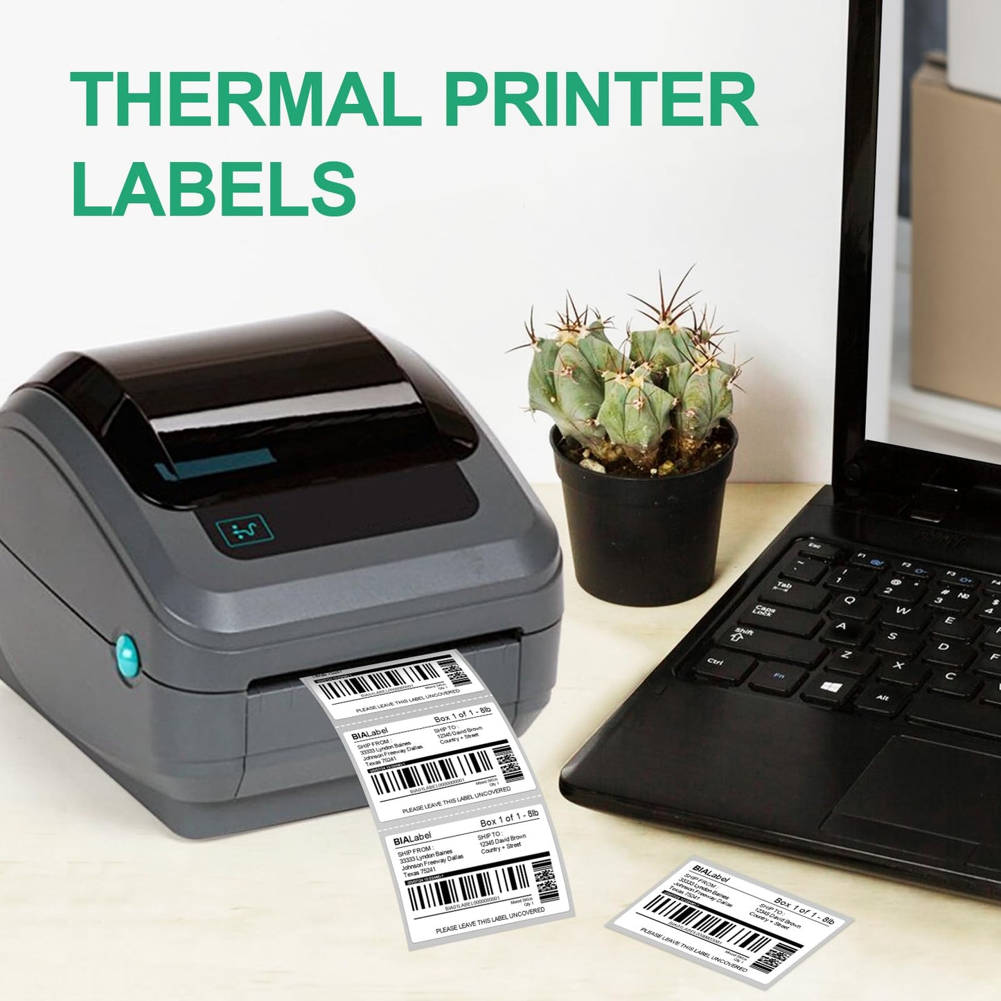 12 Rolls 3" X 2" Barcode Labels, 700/Roll - Direct Thermal Labels Compatible with Zebra & Rollo Printers, BIAlabel