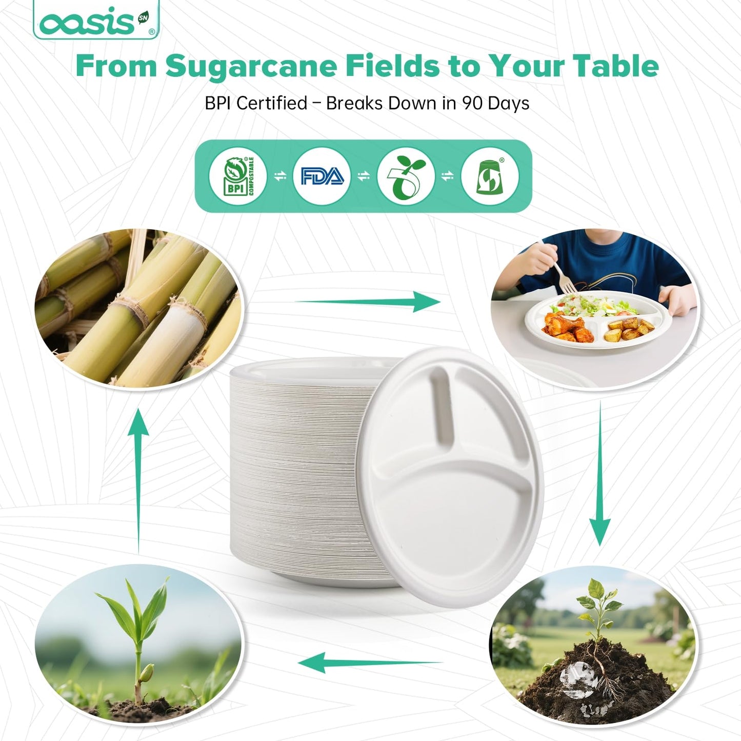 OasisSN 𝟭𝟬 𝗶𝗻𝗰𝗵, 𝟭𝟮𝟴-𝗣𝗮𝗰𝗸 3-Compartment Disposable Paper Plates, Compostable Heavy-Duty Divided Plates for Meal Prep, School Lunches & Party Buffets (White)