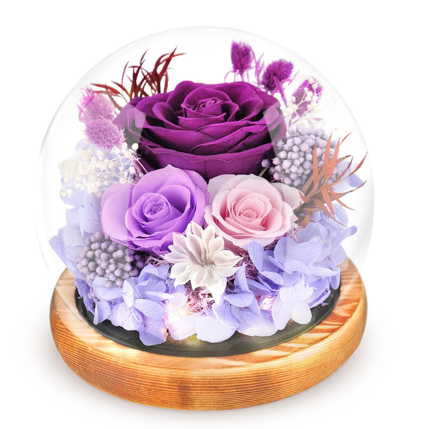 Preserved Flowers Rose in Glass Dome Forever Flowers Valentines Day Gifts for Her Eternal Roses with Light Long-Lasting Real Flowers Mothers Day Birthday for Women Mom Grandma, Purple