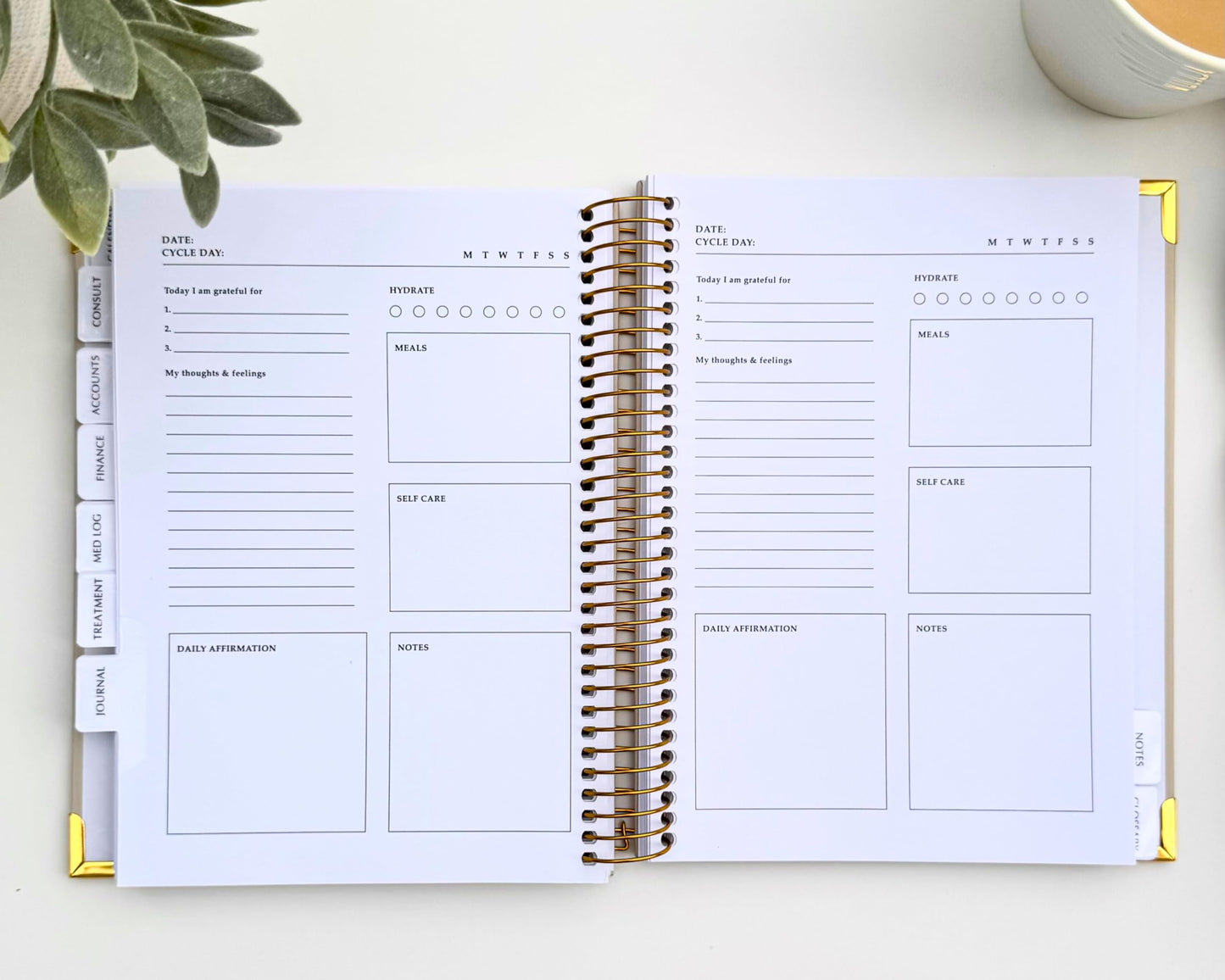 IVF Journey Planner | Fertility & IVF Journey Organizer for Women | Infertility Support & Treatment Tracker | Minimalist Design | By Psalm & Baby Dust