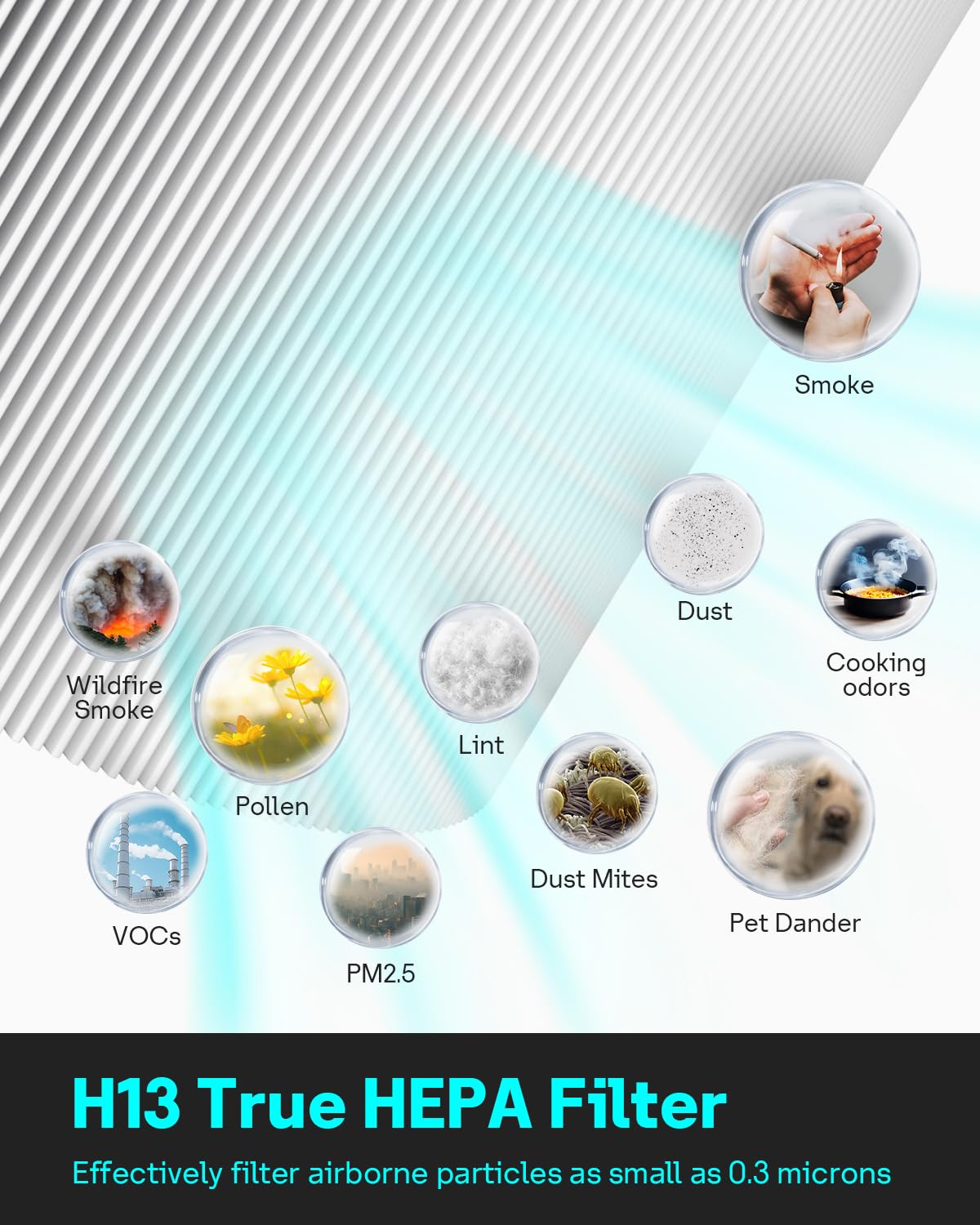 Leemone HP152 HP153 Replacement Filter Compatible with Shark Air Purifier HP150, HP151, HP152, HP153, HP155, UA155, HP152C, HE15FKPET, NeverChange True HEPA with Pet Particle Barrier, 2 Pack