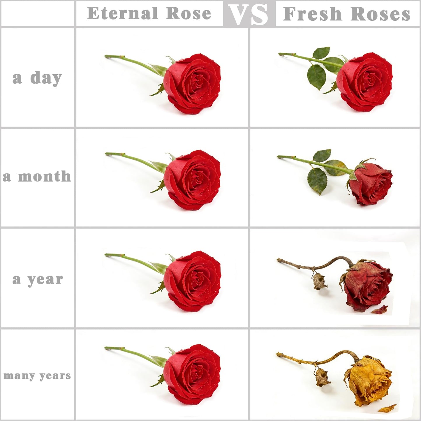 Preserved Flowers Bouquet-Pink Forever Flowers For Delivery Prime, Ideal Anniversary Valentine Gifts for Women Mother Wife Grandma