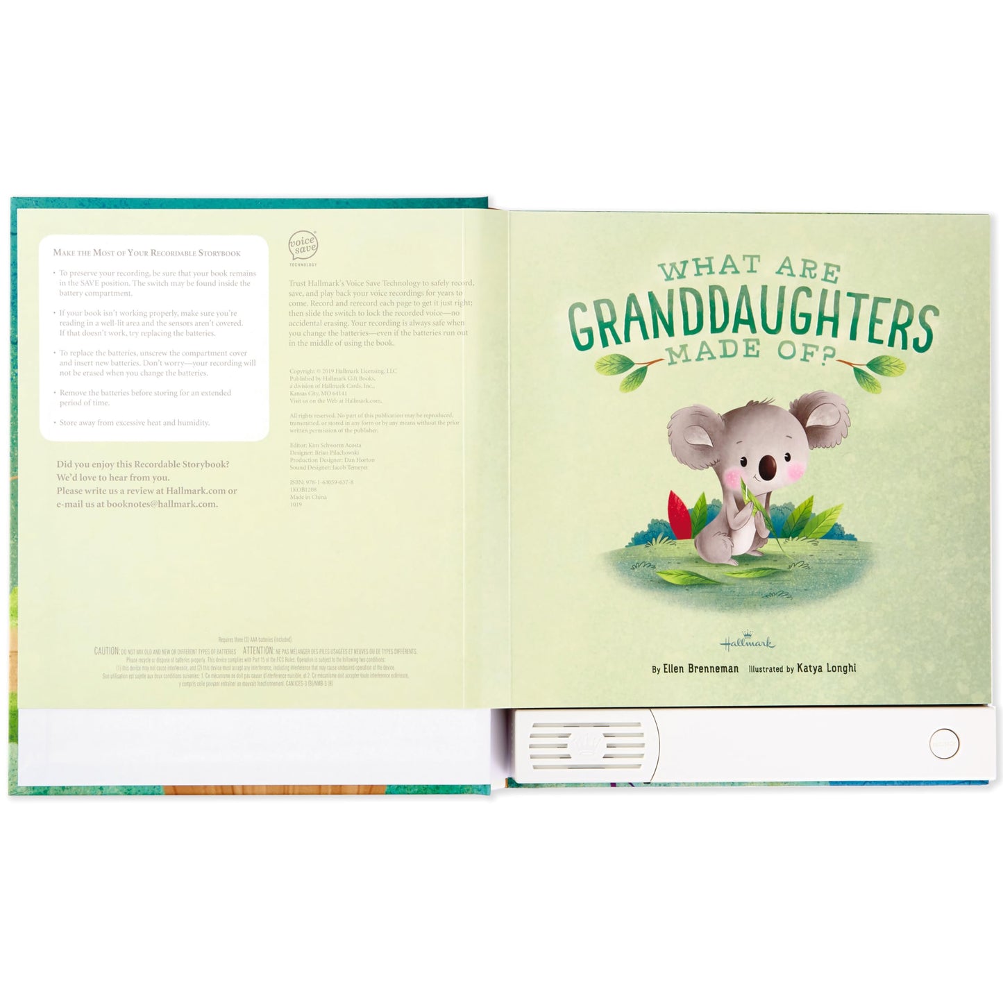 Hallmark Recordable Book for Children (What are Granddaughters Made of?)