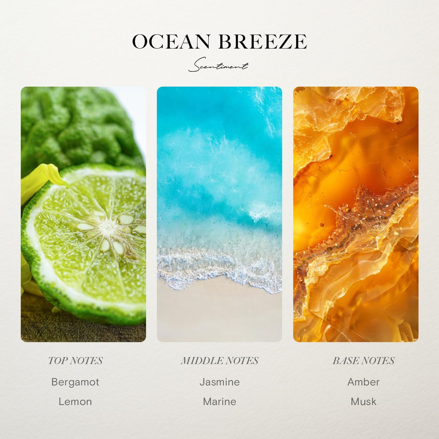 Scentiment Ocean Breeze Diffuser Oil – Bergamot, Lemon, Jasmine with Marine & Amber Scent for Diffusers, Fragrance Oil – 1.69 fl oz (50 mL)