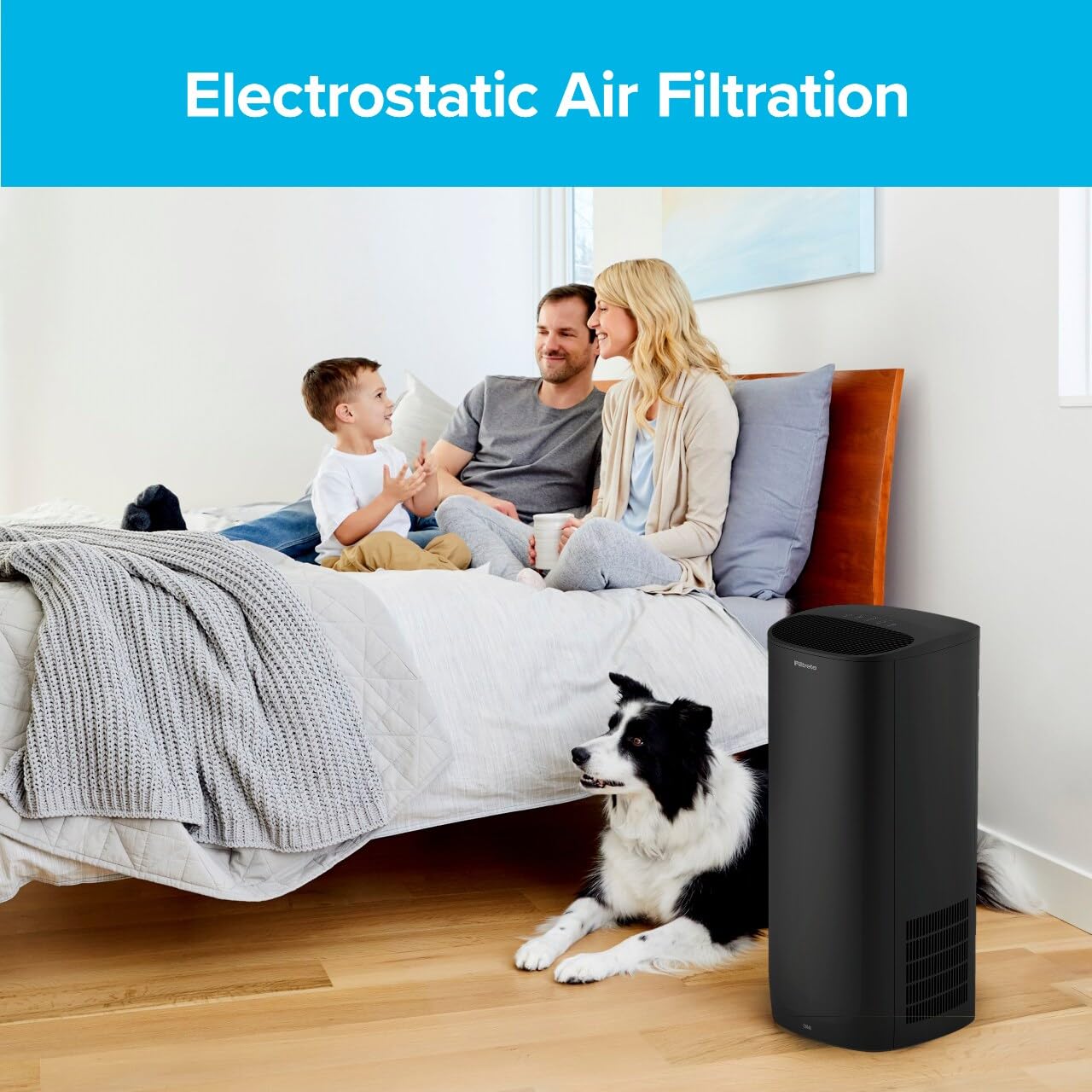 Filtrete F2 Room Air Purifier Filter, True HEPA Premium Allergen, Bacteria, and Virus, 13 in. x 8.2 in., 2-Pack, works with devices: FAP-C02, FAP-C03, FAP-SC02, and FAP-T03