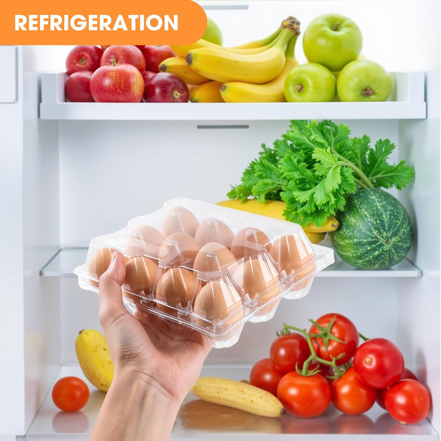 160 Pack Egg Cartons Cheap Bulk 12 Count Clear Empty Egg Cartons for Chicken Eggs 3x4 Grids, Reusable Egg Holder Egg Trays for Family, Chicken Farm, Markets Display - Egg Containers for Fresh Eggs