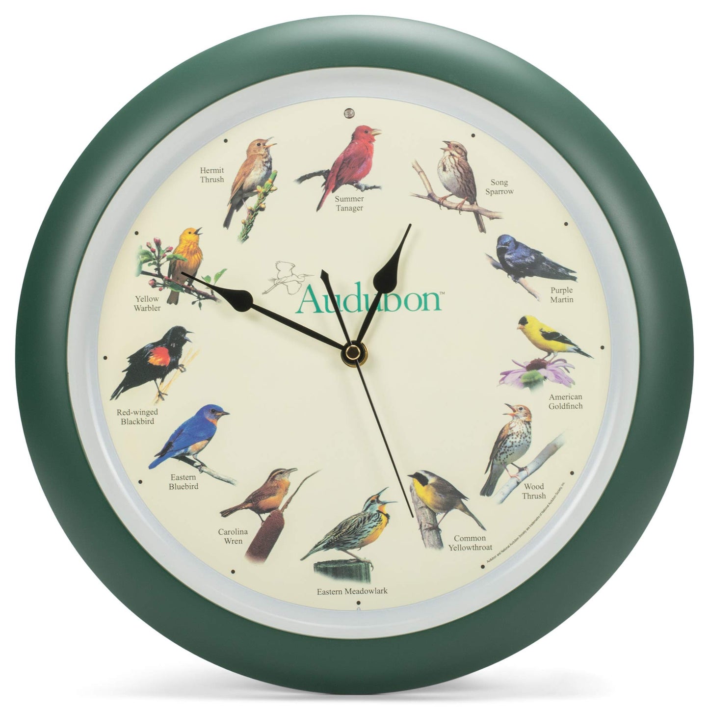 Mark Feldstein, Audubon Singing Bird Wall Clock, 13 Inch, Green
