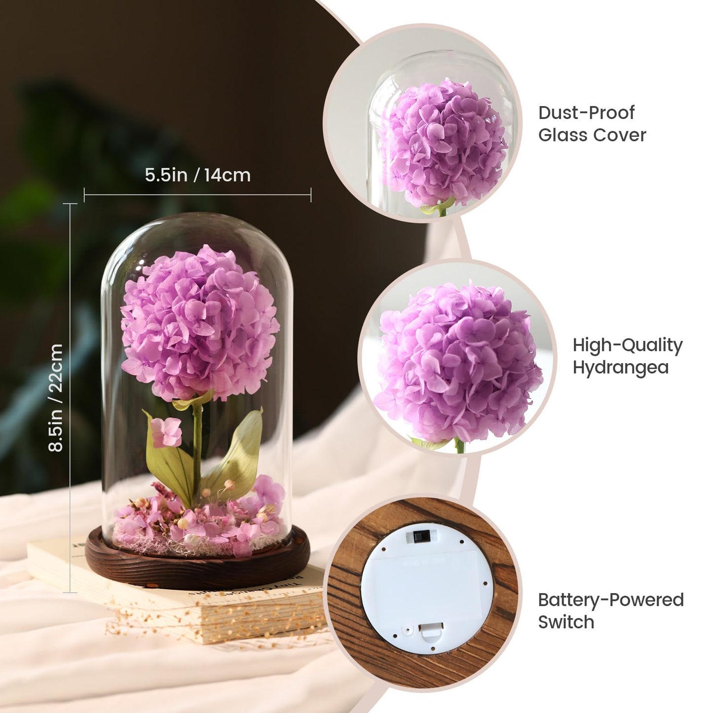 AIMEYE Forever Hydrangeas in Glass Dome,Forever Preserved Flowers Gifts Mothers Day Birthday for Grandma Women Mom Wife,Fresh Flowers for Delivery/Purple Hydrangea