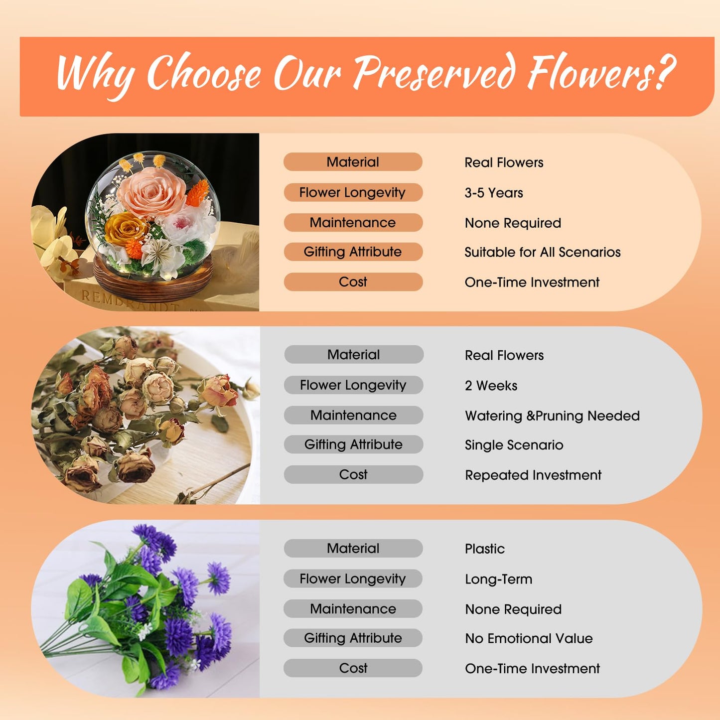 FIACO Gifts for Mom Flowers for Delivery Birthday Gifts for Women Grandma Forever Preserved Eternal Rose in Glass Dome Mother Days Valentines Anniversary for Girlfriend Wife Her, Champagne