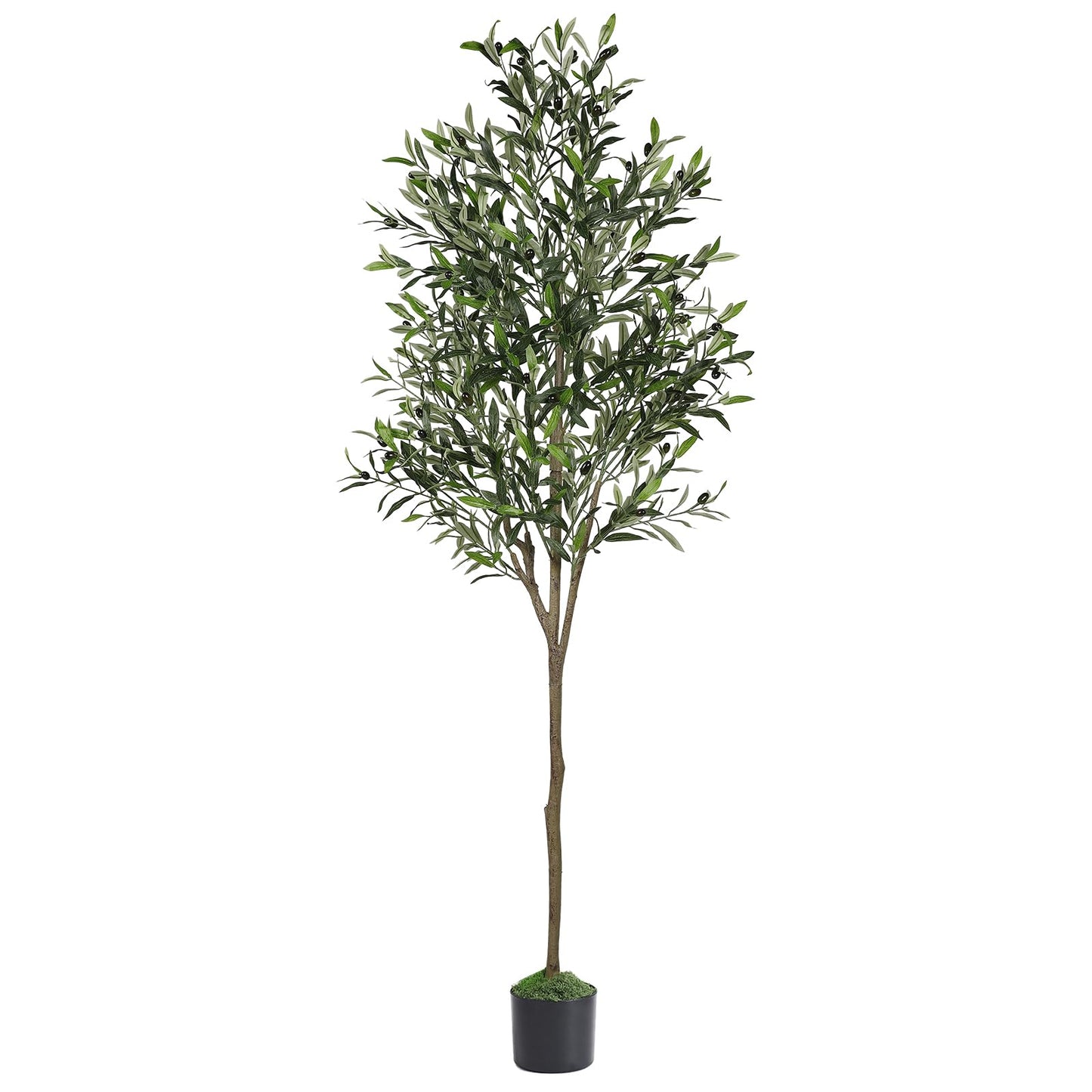 Alupssuc 6ft Olive Tree Artificial Indoor, Fake Tree Potted Faux Olive Trees with Lifelike Fruits and Realistic Leaves, Artificial Plants Indoor Fake Plants for Modern Home Office Living Room Decor