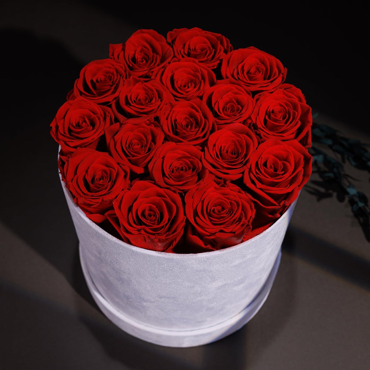 Prifroti 17 Flowers in a Luxury Suede Box, Birthday Gifts for Women, Preserved Flowers, Mothers Day Roses Gift for Mom, Red