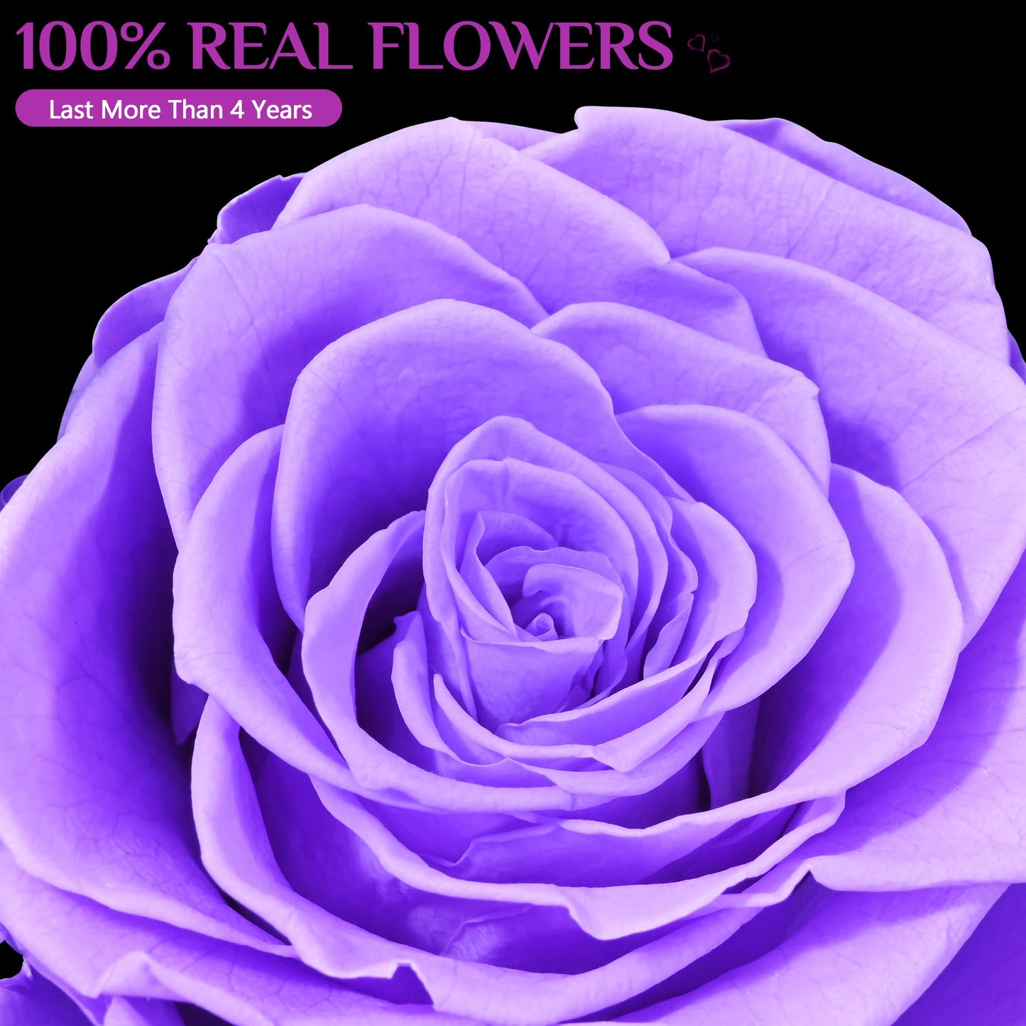 Yastouay Gifts for Mom Mothers Day Birthday Gifts for Women, Forever Rose Flowers for Delivery, Purple Preserved Roses Flowers in Glass Dome with Light Gift Box for Mom Her Women Wife Anniversary