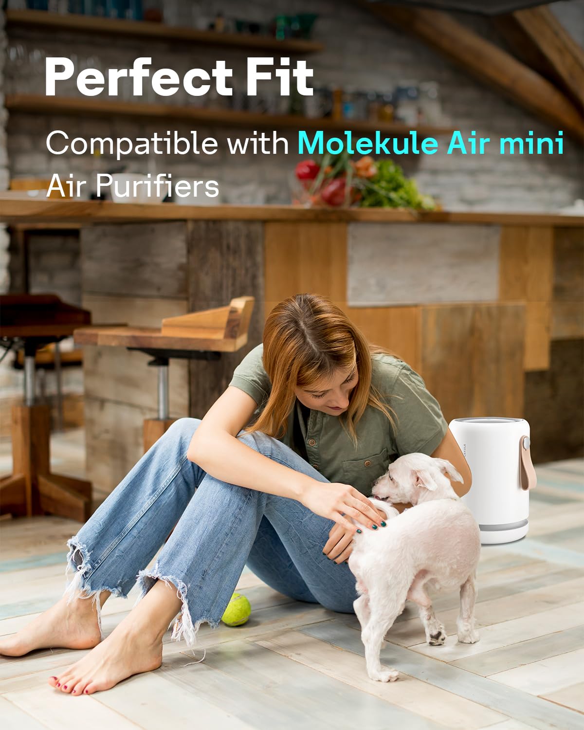 Leemone Air Mini PECO-HEPA Filter Replacements Compatible with Molekule Air Mini & Air Mini + Air Purifiers, 3-in-1 High-Efficiency Replacement Filter, 2 Pack