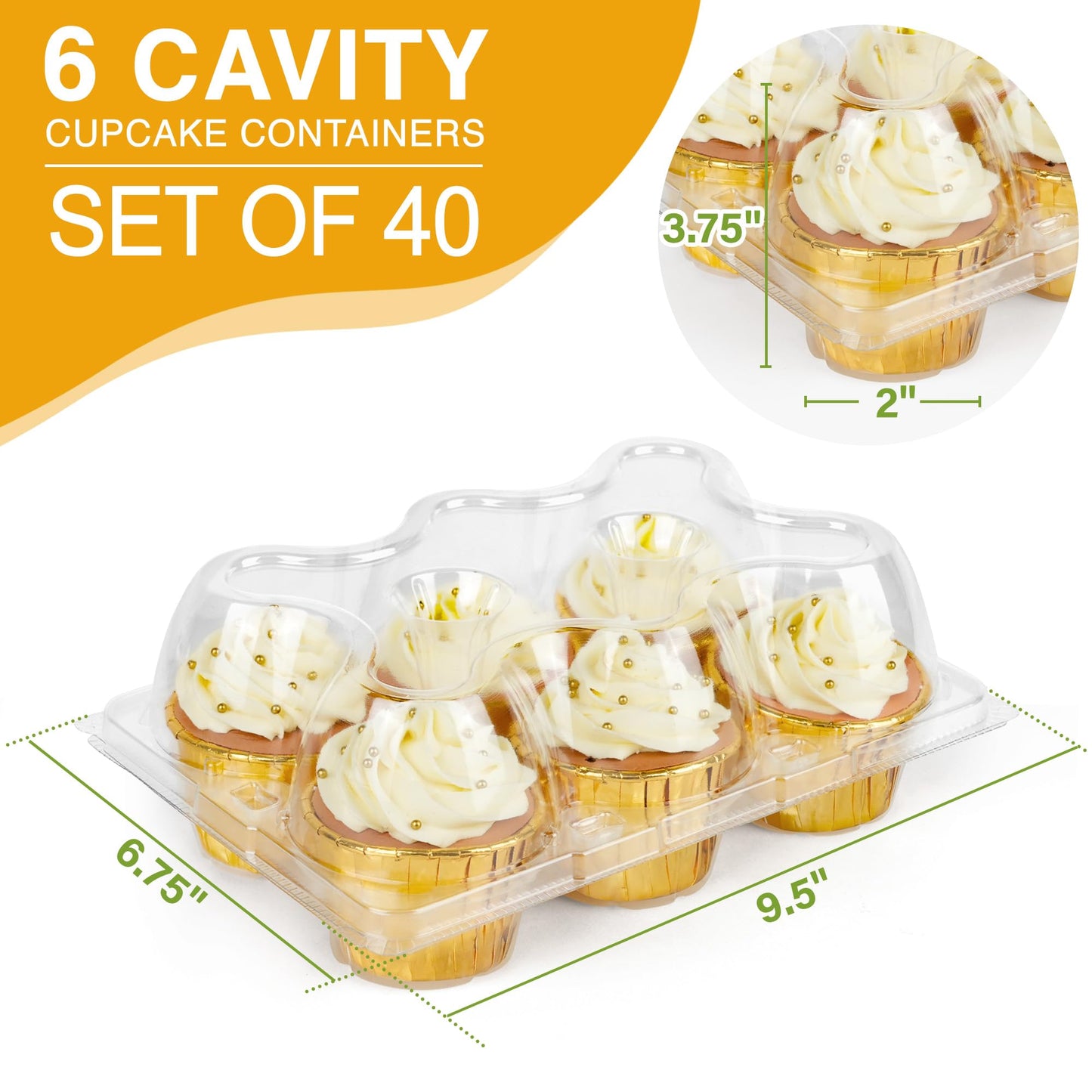 LotFancy (6 Count x 40 Sets) Cupcake Containers, Half Dozen Clear Cupcake Boxes, Thick Plastic Muffin Holders with Detachable Tall Dome Lid, Disposable Cupcake Carriers, BPA Free, Standard Size
