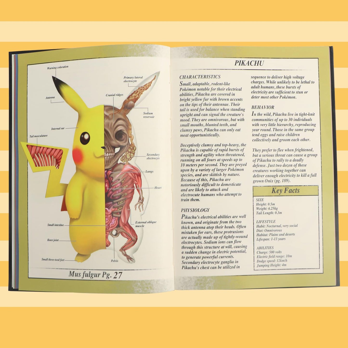 Pokenatomy Guide Book Desk Calendars - The Ultimate Pokenatomy Biology Study Companion, HD Printing, 200 Pages Covering 100 Classic Characters, Educational Birthday Gifts for Fans Kids Adults