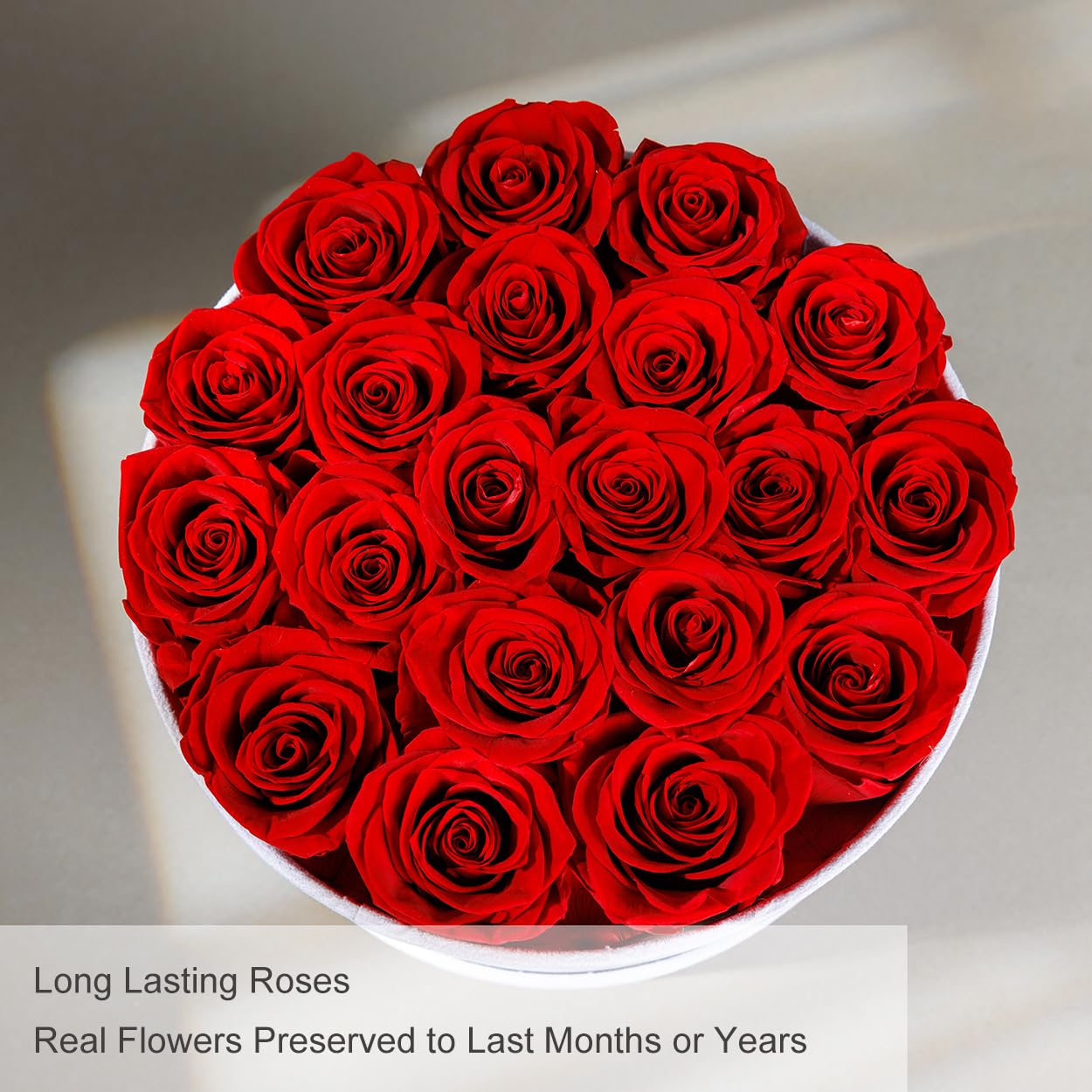 Gifts for Women Preserved Roses Flower Box, Luxury Velvet Box with 20 Roses, Preserved Flowers, Romantic Gift for Her, Wife, Girlfriend, Birthday Anniversary Christmas (Red)