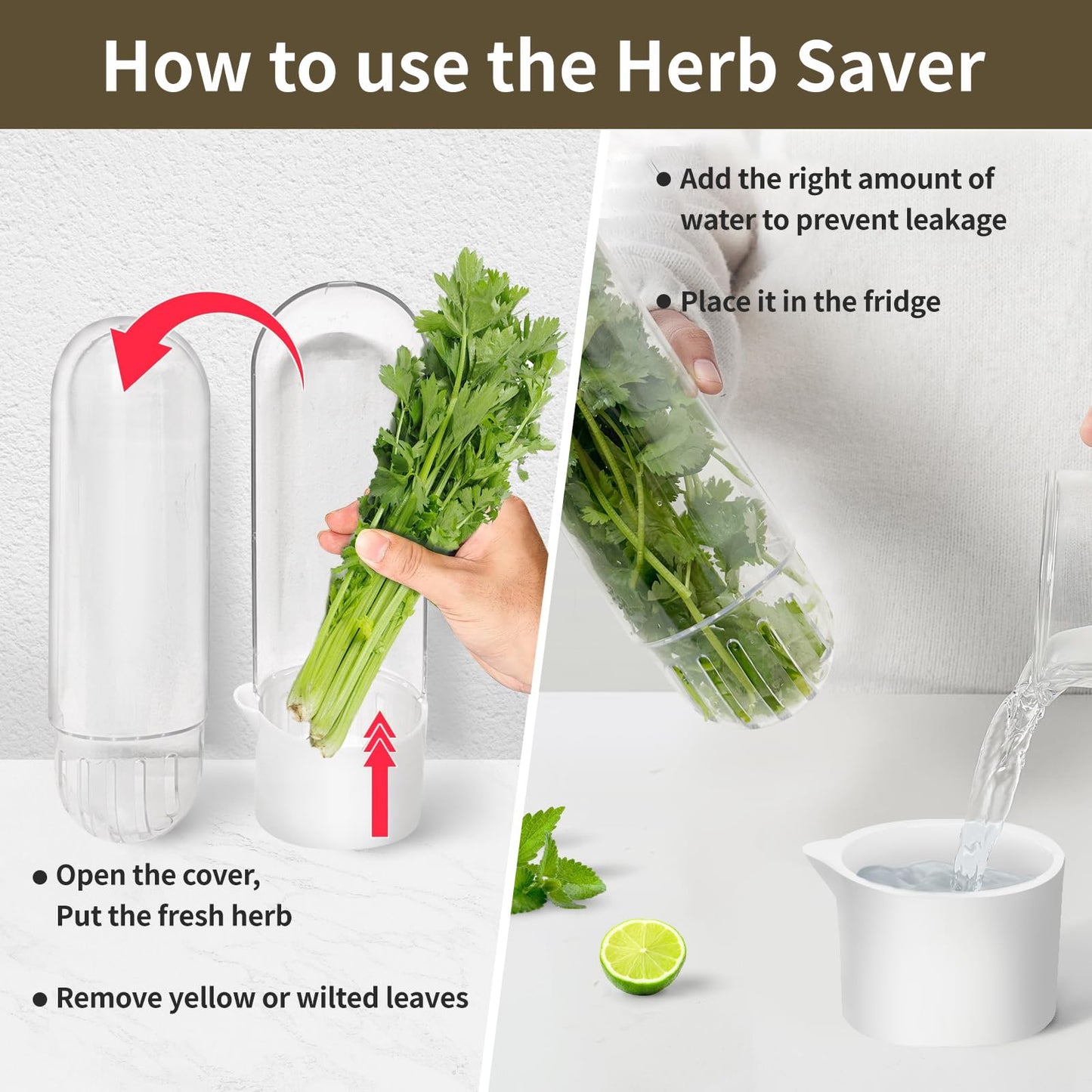 UEOZ Herb Keeper for Refrigerator, Herb Saver for Refrigerator, Cilantro Container, Vegetable Preservation Bottle for Cilantro, Mint, Parsley, Asparagus, Keeps Greens Fresh for 2-3 Weeks (3PCS)