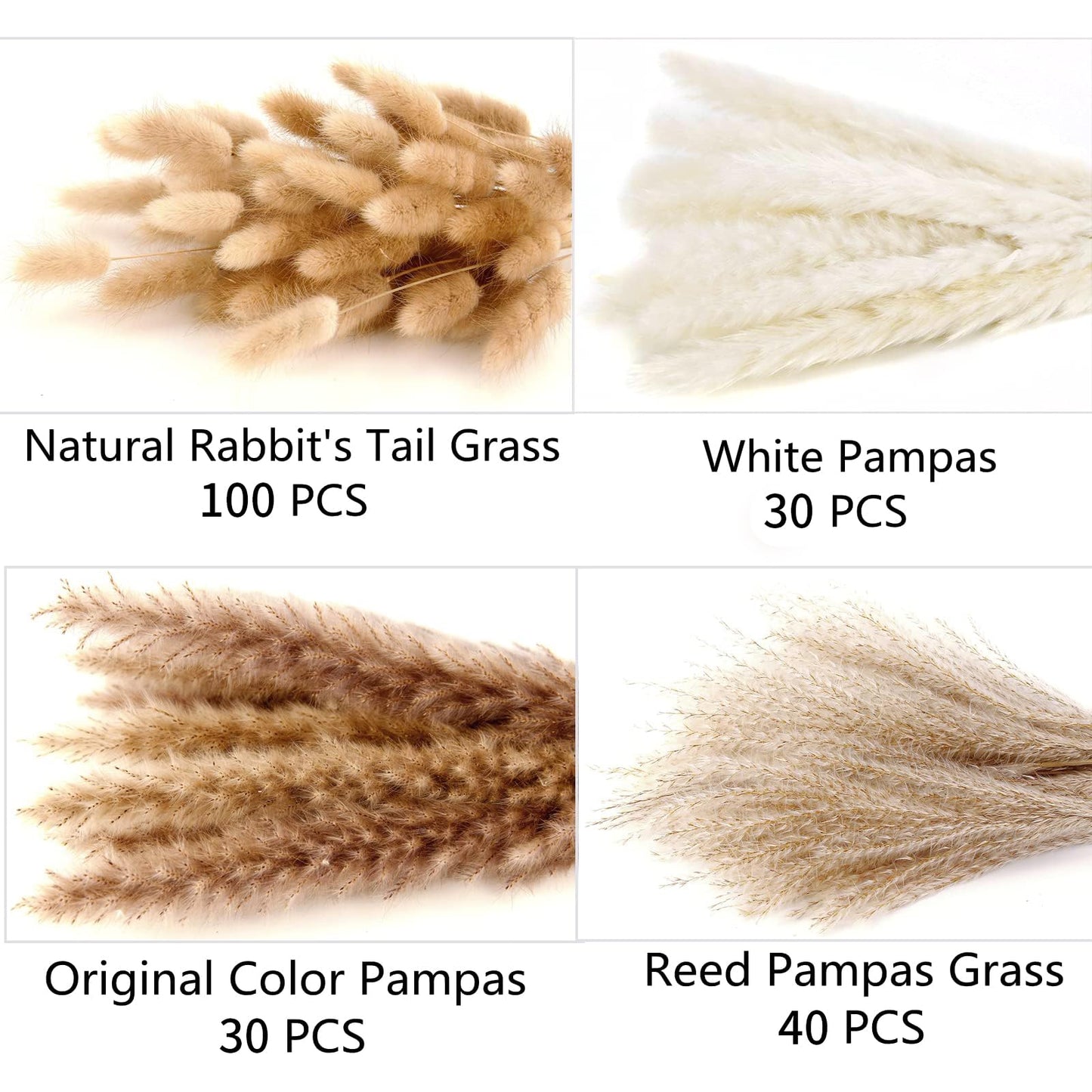 200PCS Dried Flower Bouquet – Pampas Grass, Floral Decor for Home, Wedding, and Boho Style | Perfect for Vases, Fall, Spring, Summer, and Winter Arrangements