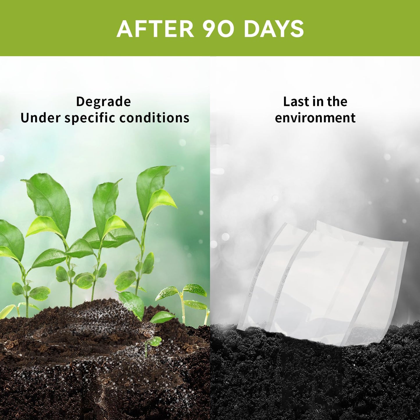VestaEco Compostable Vacuum Sealer Bags for food, 3 Rolls 11" x 16' and 2 Rolls 8" x 20', Heavy-Duty Embossed Vacuum Seal Bags, Customized Size for Meal Prep/Sous Vide Cooking, BPA-Free