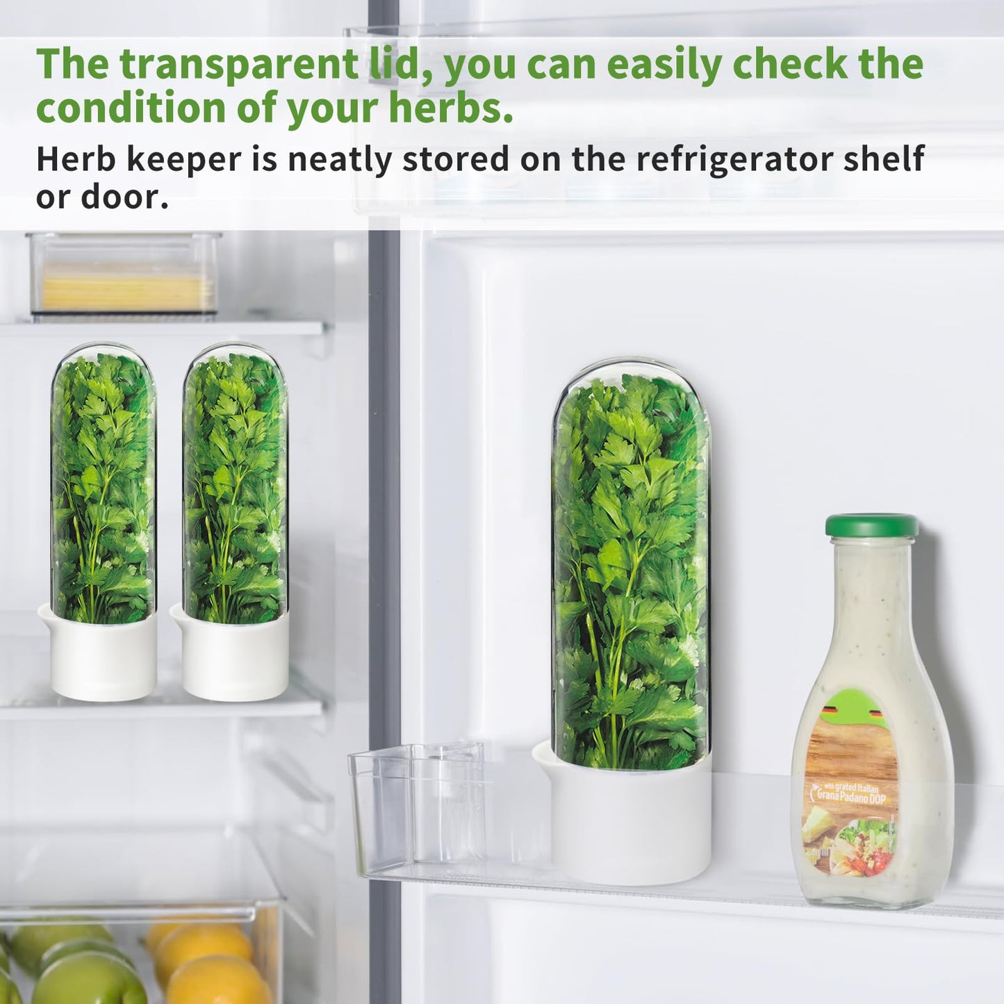UEOZ Herb Keeper for Refrigerator, Herb Saver for Refrigerator, Cilantro Container, Vegetable Preservation Bottle for Cilantro, Mint, Parsley, Asparagus, Keeps Greens Fresh for 2-3 Weeks (3PCS)