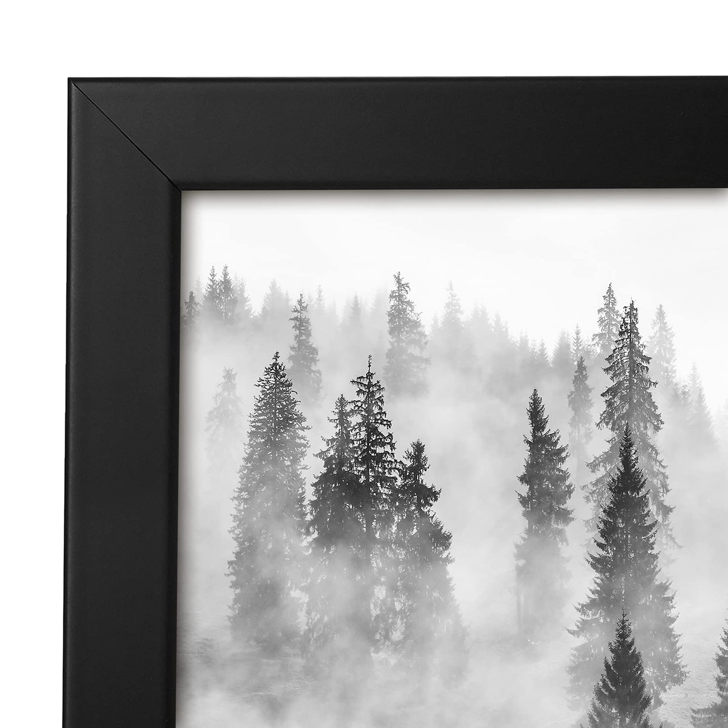 Americanflat 24x24 Picture Frame with Polished Plexiglass - Epic Collection - Square Picture Frame with Engineered Wood - Wide Photo Frames for Wall display - Black