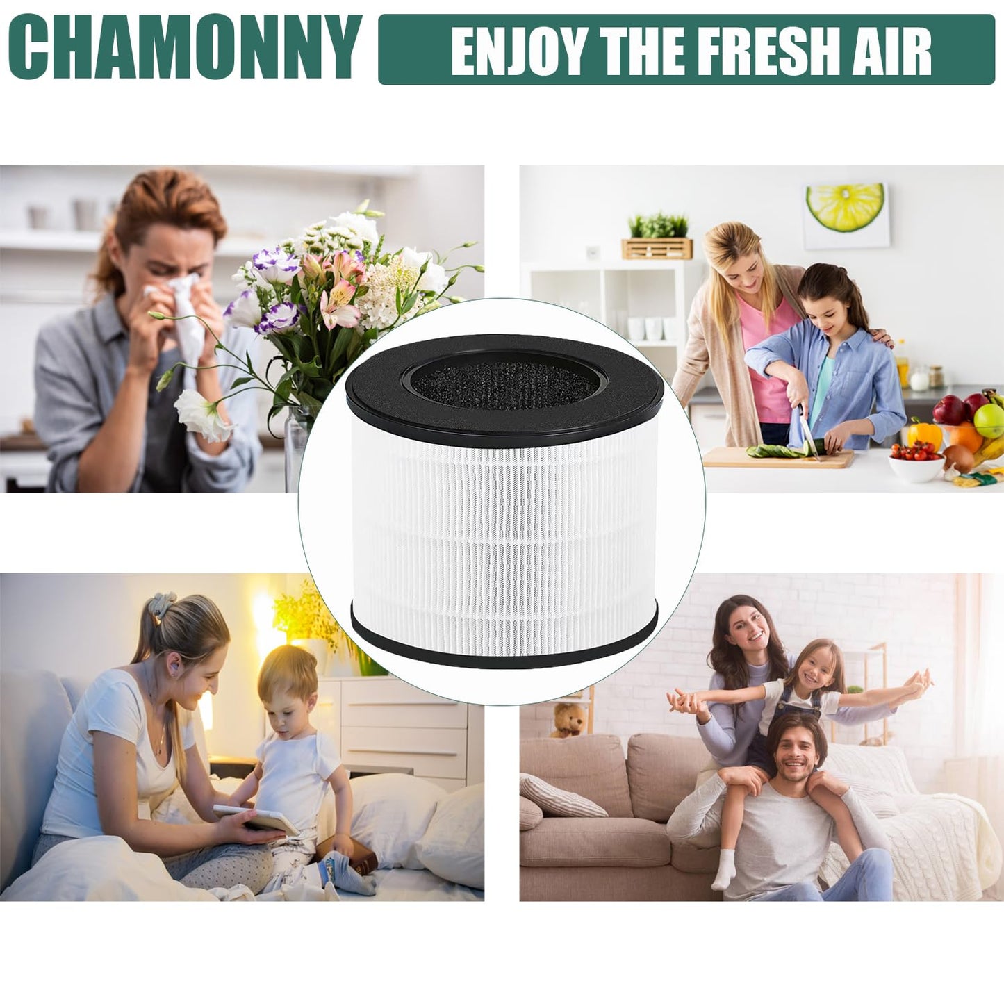CHAMONNY Airmega 100 Filter Replacement, Compatible with Coway Airmega 100 Air Purifier, 3-in-1 H13 True HEPA and Deodorization Filters (Airmega 100 Filter 2Pack)