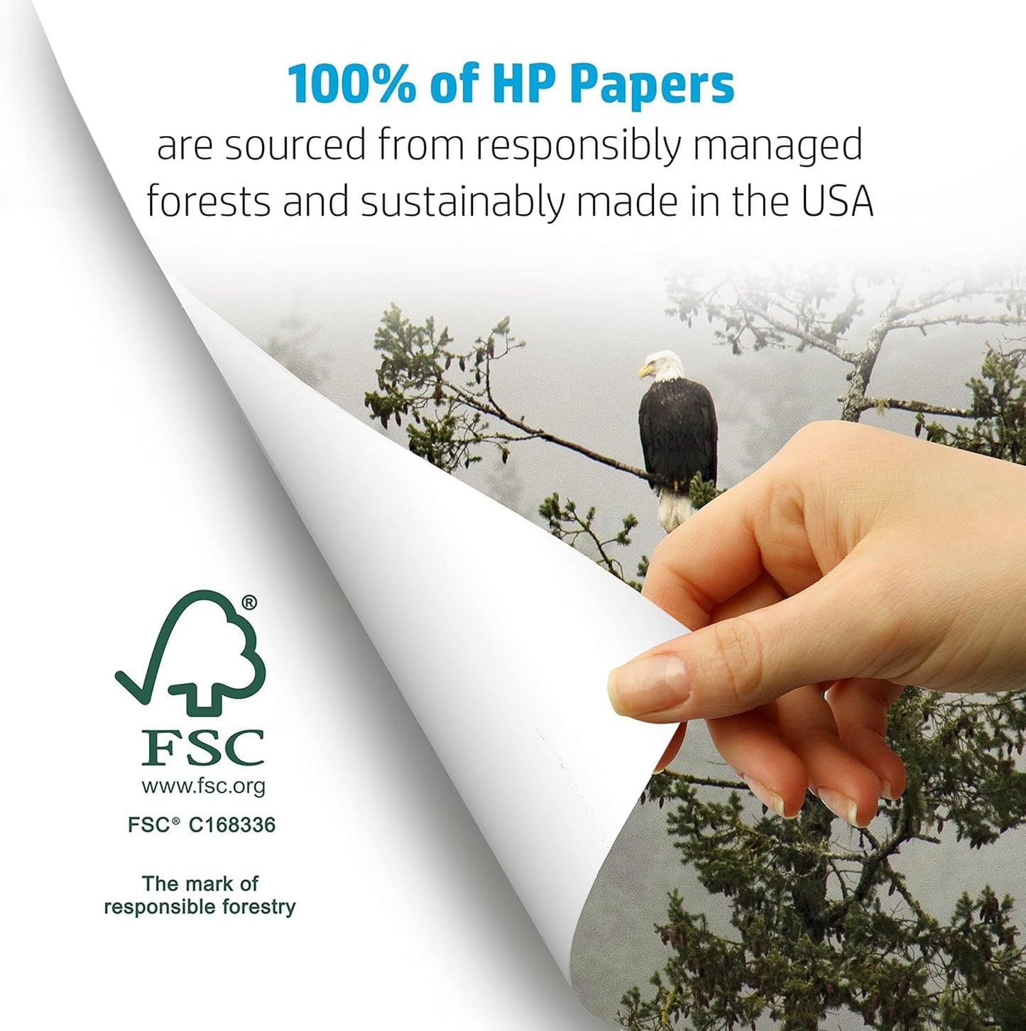 HP Papers | 8.5 x 11 Paper | MultiPurpose 20 lb | 5 Ream Case - 2500 Sheets | 96 Bright | Made in USA - FSC Certified | 115100PC
