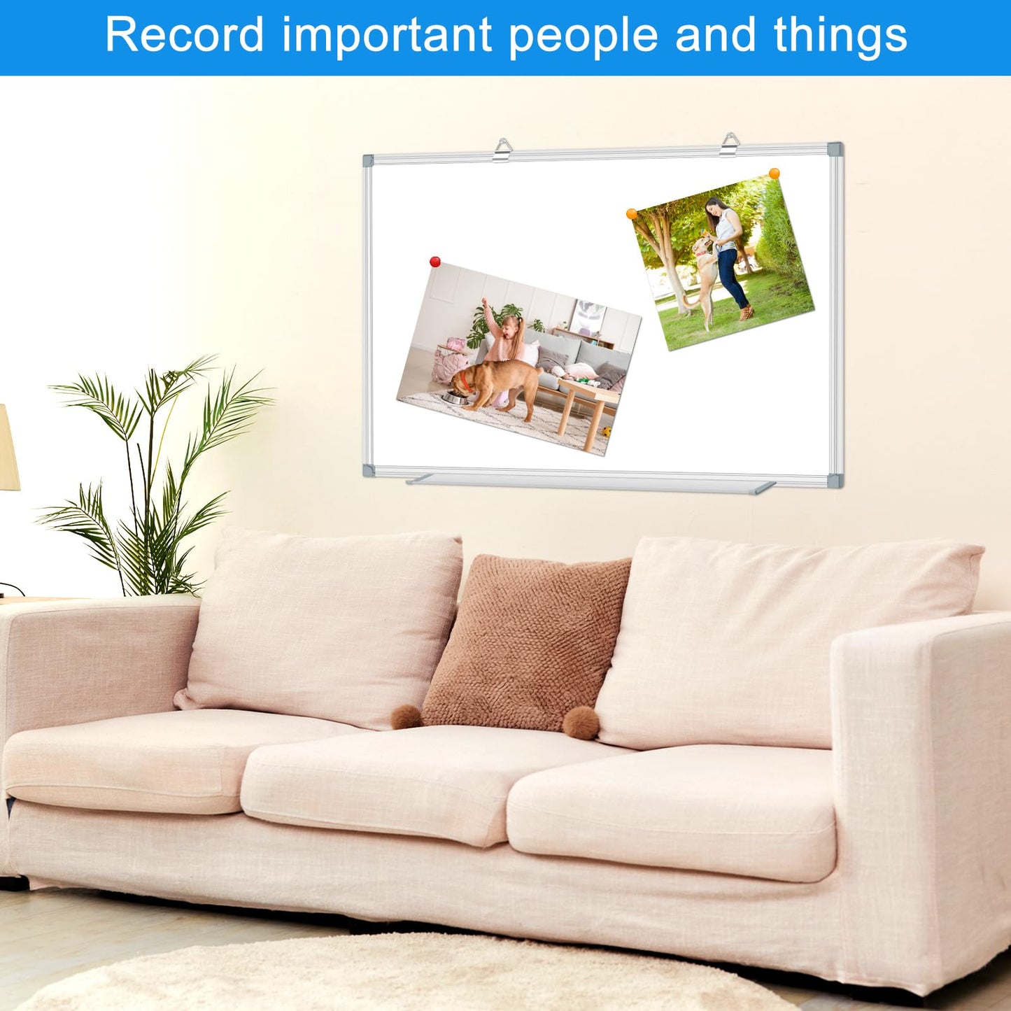 White Board Dry Erase Whiteboard for Wall 36" x 24" Aluminum Presentation Magnetic Whiteboards with Long Pen Tray, 12 Magnets, 3 Markers & 1 Eraser