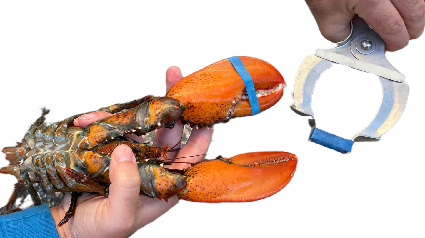 AirFly Crab and Lobster Claw Bands - Size 1" x 0.5" - FDA-Compliant Silicone - Cook Safe, Non-Latex, Non-Toxic - Fits Lobster, Dungeness and Blue Crab - Made in USA (Assorted, Bands + Bander)