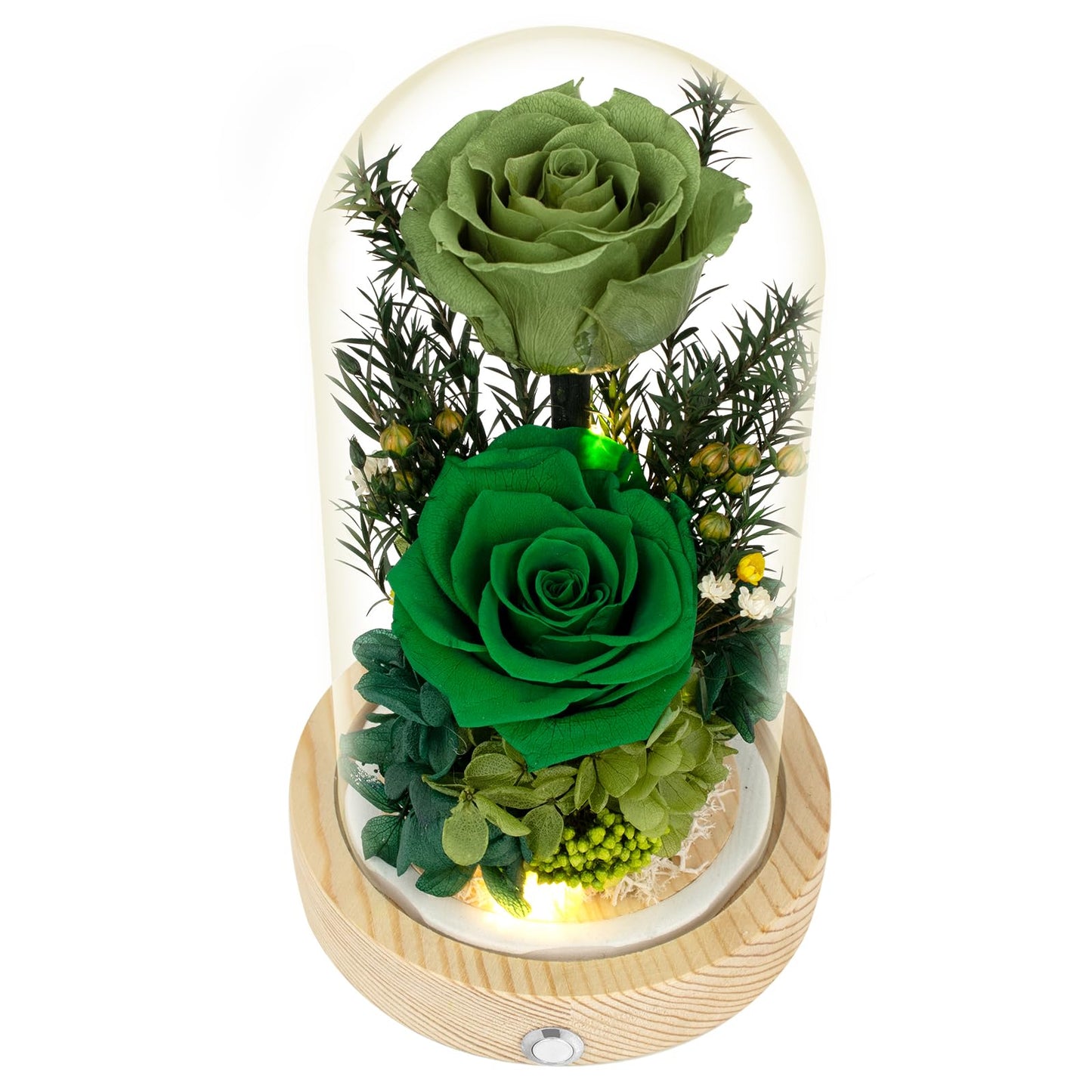 Regalo Flor Preserved Flowers Gifts for Women, Green Preserved Roses in Glass Dome, Real Roses Flower Arrangement, Forever Flowers for Mom, Birthday Gifts for Women, Flowers for Delivery Prime