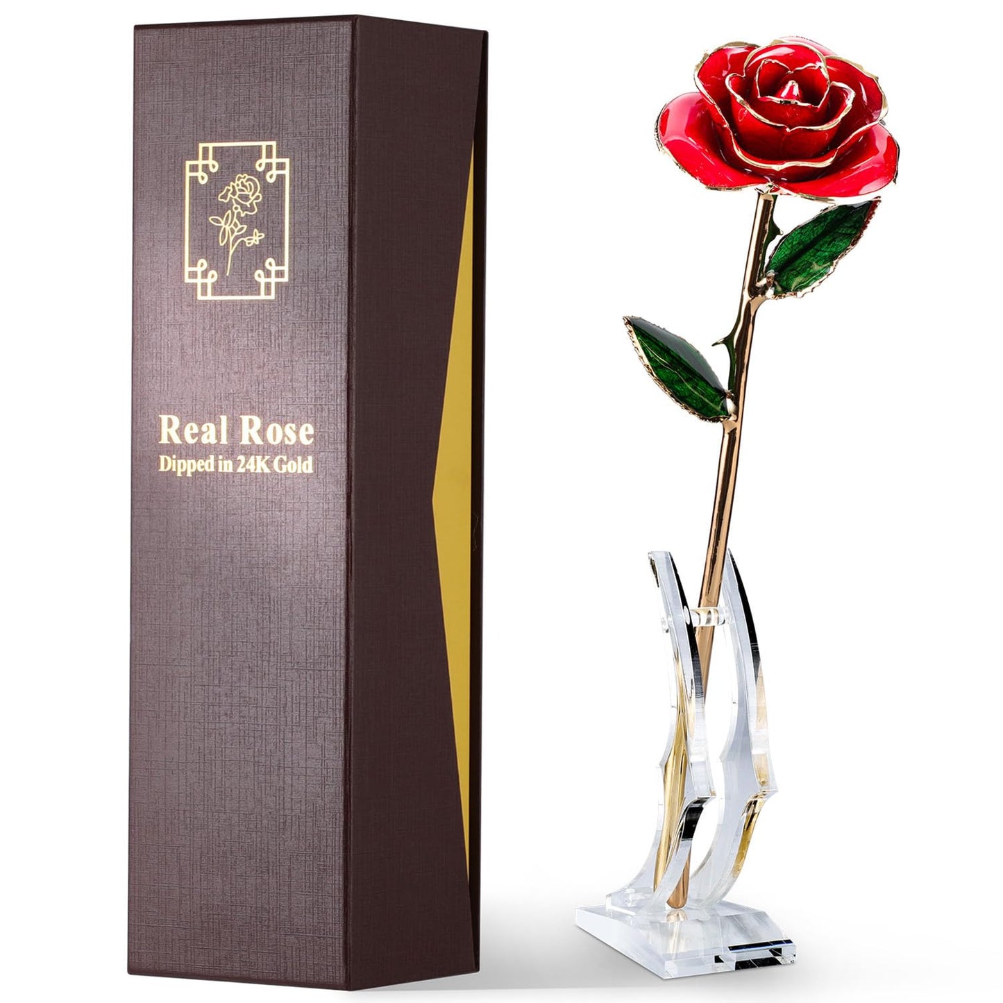 ECO SPACE Gold Dipped Rose - Hand-Dipped Real 24K Gold Rose - Genuine One of a Kind - Eternal Romantic Present for Her - Perfect for Valentines, Mother's Day, Anniversary, Birthday (Red)