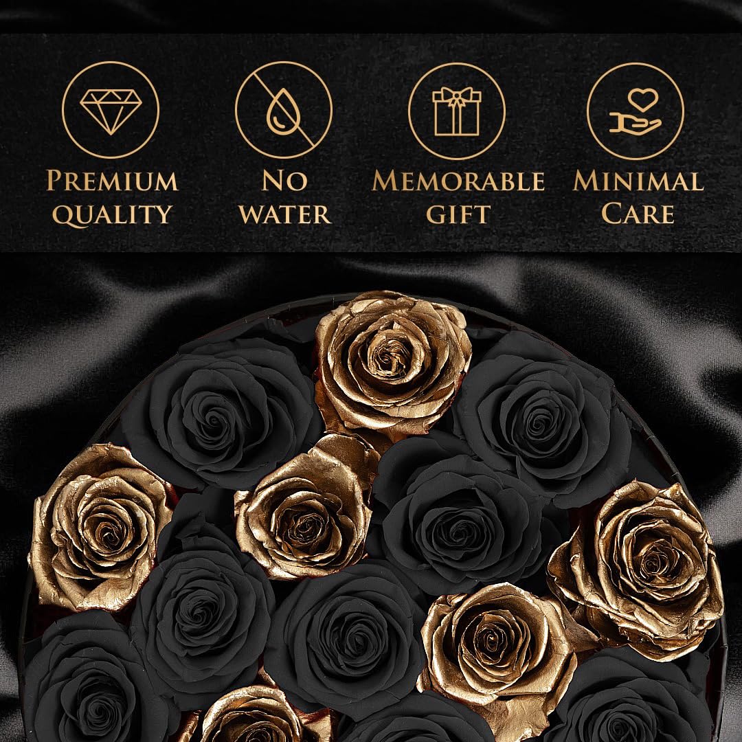 17 Black & Gold Forever Roses, Velvet Box - Luxury Black Roses, Graduation Flowers, Golden Roses, Preserved Rose Gifts for Women, Flowers for Teacher, Black Roses for Delivery Prime