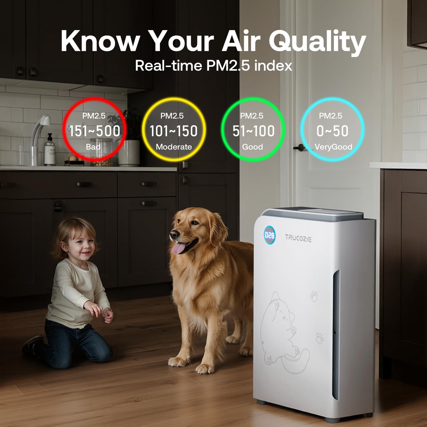 T555 Air Purifier Replacement Filter and 3 Washable Pre-Filters for T555 Air Purifier, Original Version