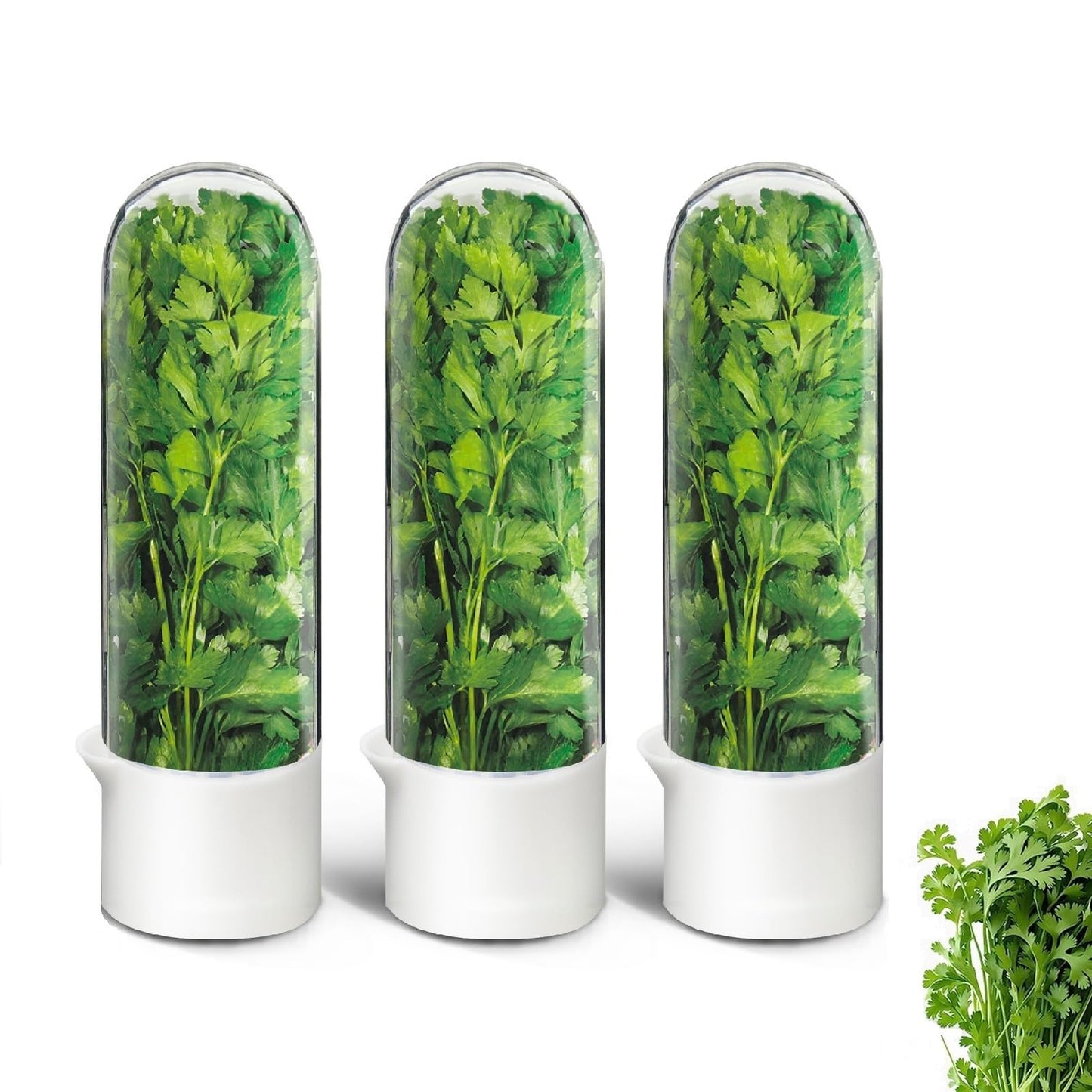 UEOZ Herb Keeper for Refrigerator, Herb Saver for Refrigerator, Cilantro Container, Vegetable Preservation Bottle for Cilantro, Mint, Parsley, Asparagus, Keeps Greens Fresh for 2-3 Weeks (3PCS)