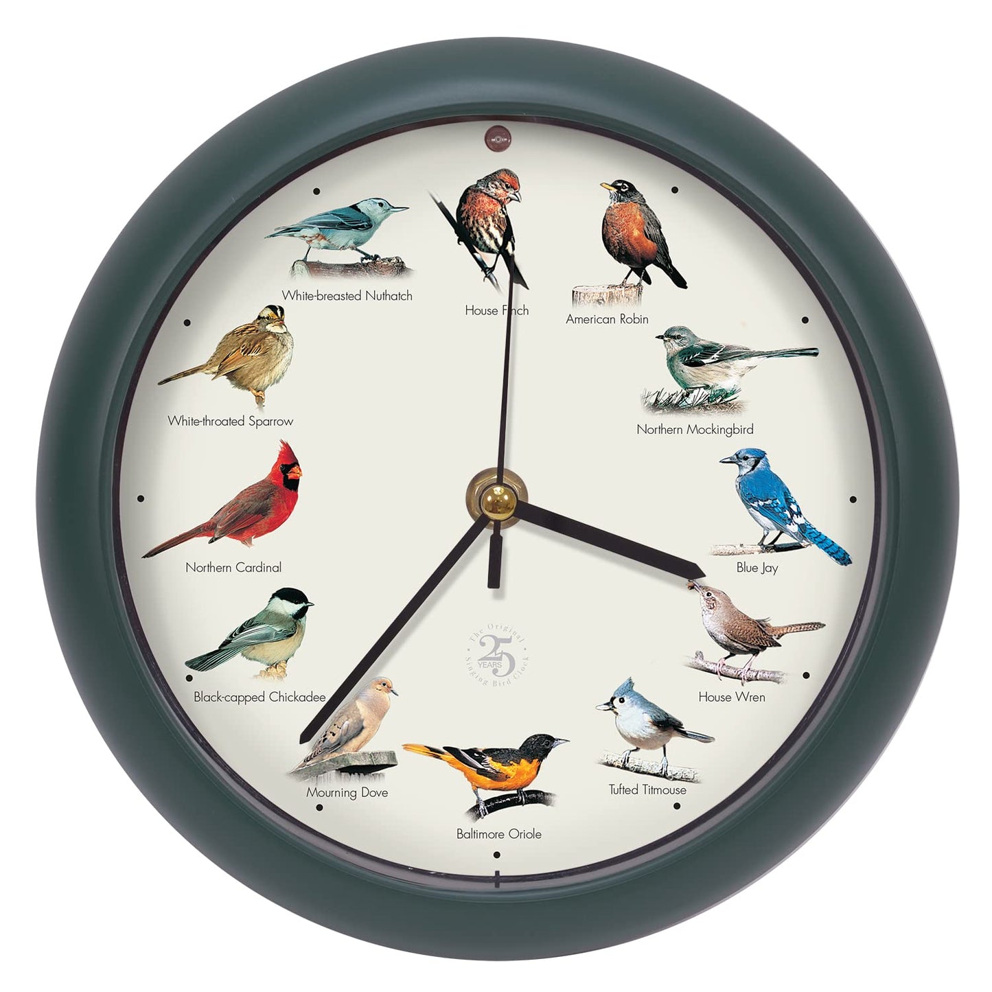 Mark Feldstein, The Original Singing Bird Clock, 25th Anniversary Edition, 8 Inch, Green